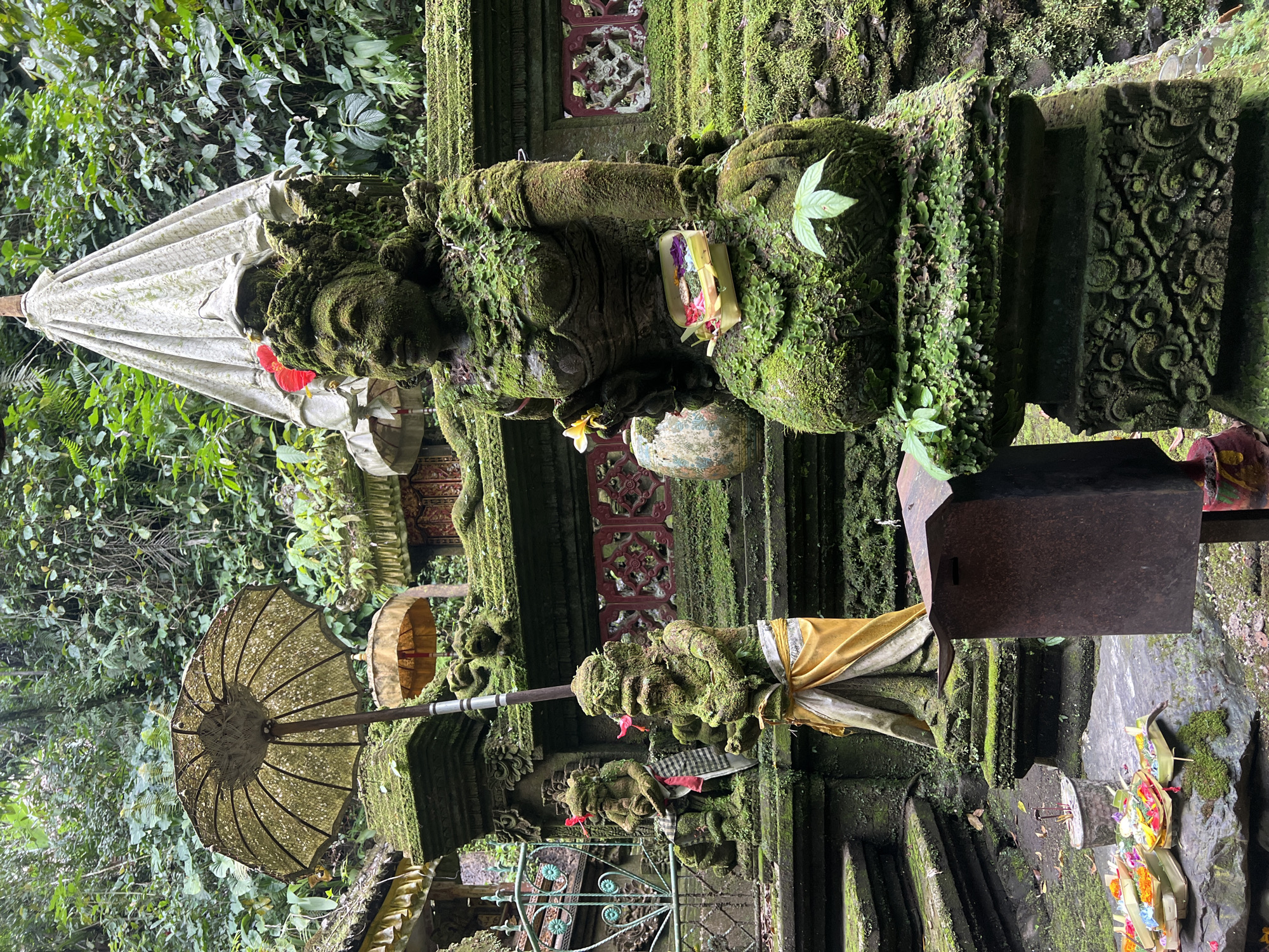 Morning scenes captured in Tegallalang: shrine, prayers, snake
