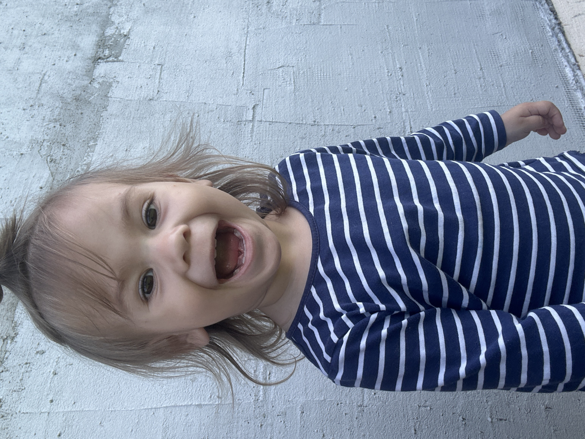 Toddler plays with dandelions, cat in Russian suburb
