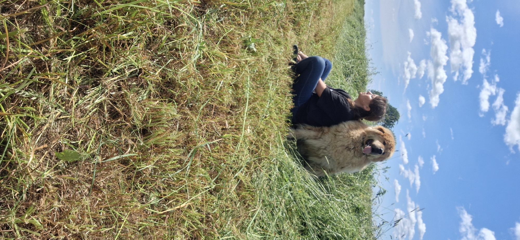 Lazy summer afternoon in a Russian field with a fluffy dog