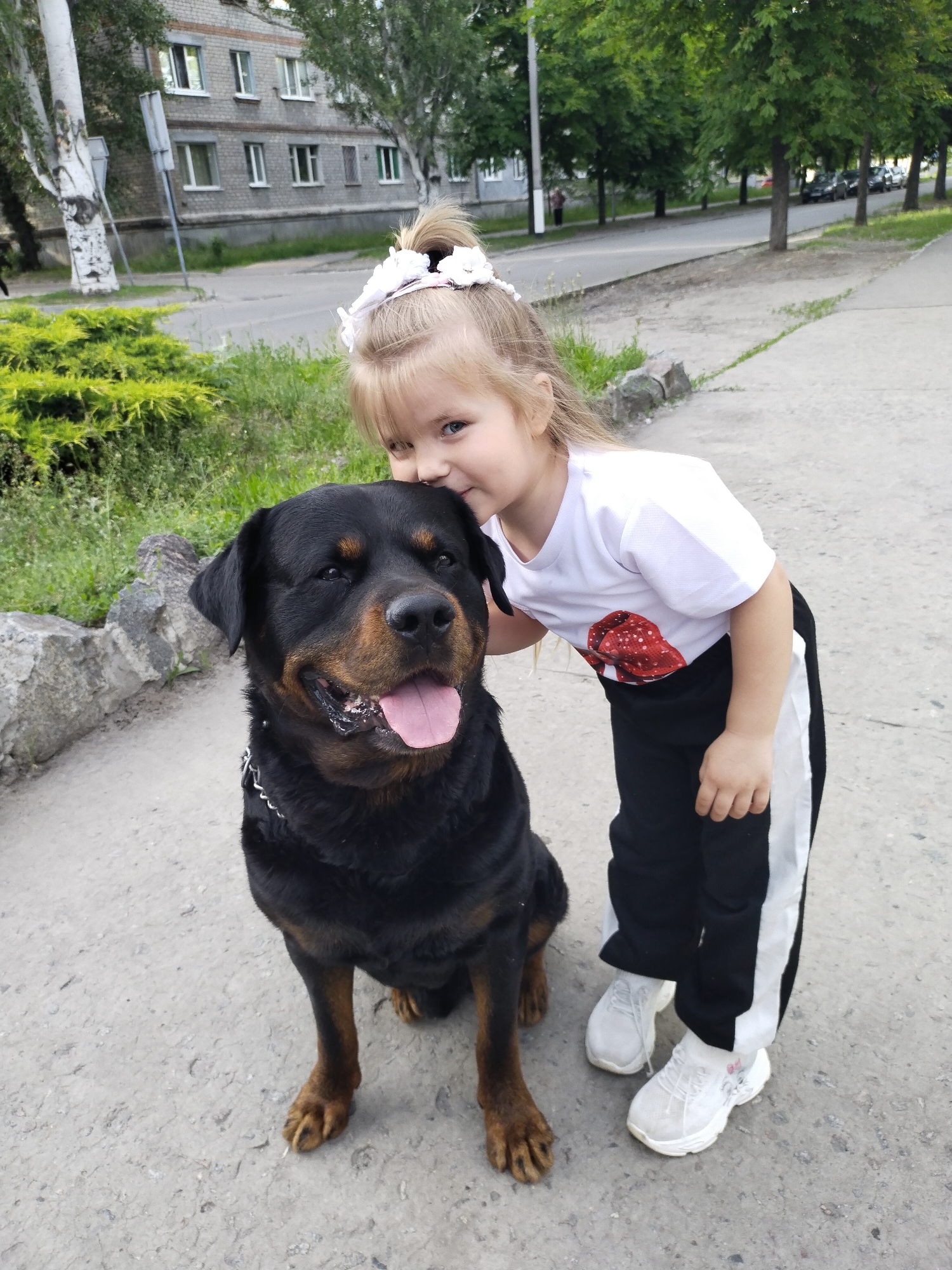 Everyday life moments captured in Ukrainian city afternoon