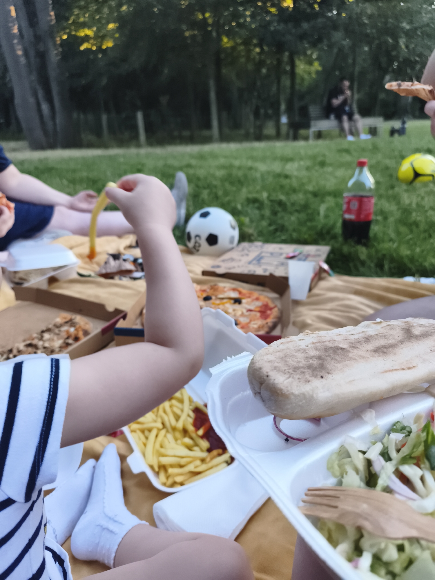 Takeout lunch in a Lagny-sur-Marne park, golden hour light