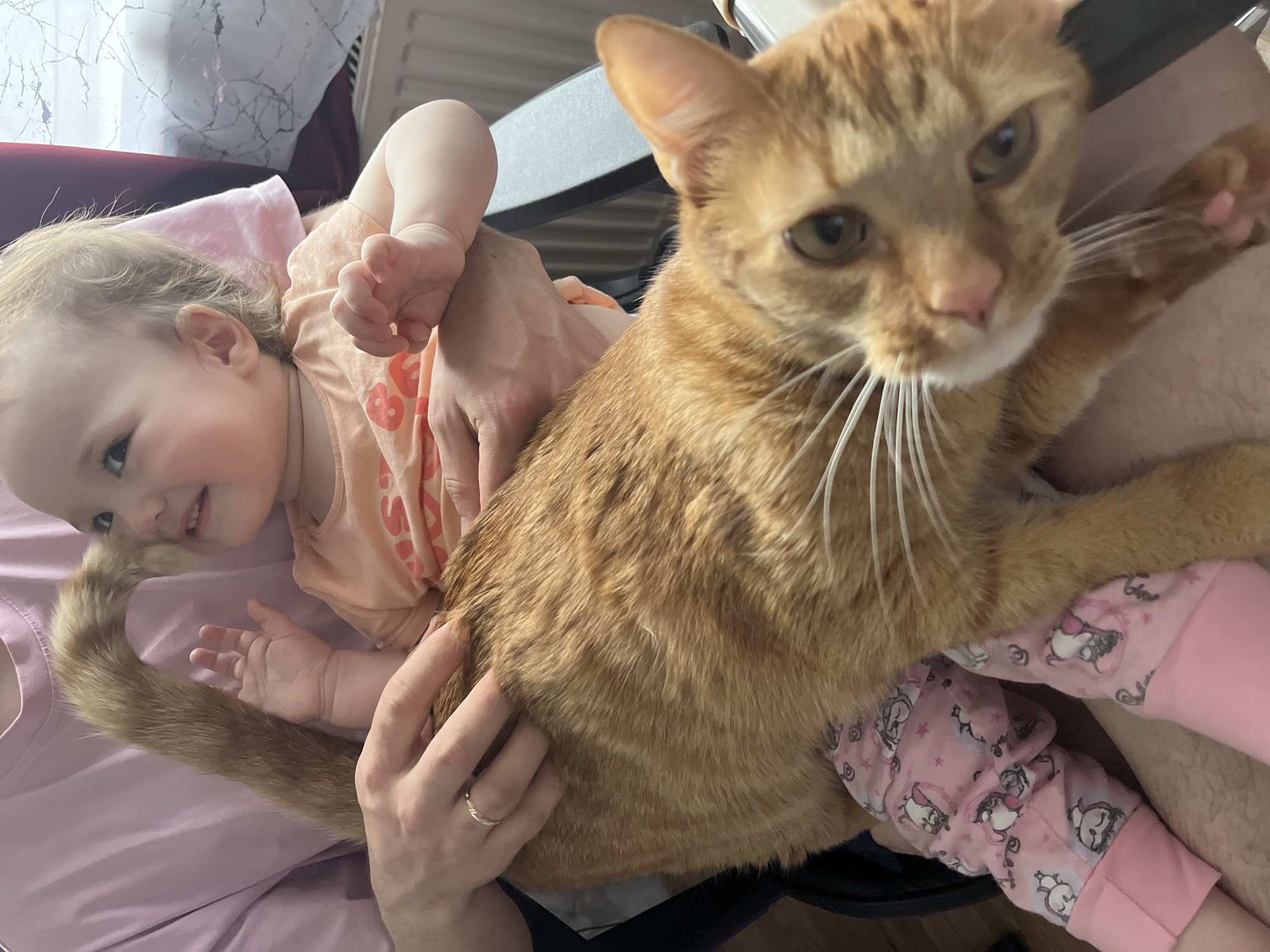 Baby and ginger cat photographed together in Shushary