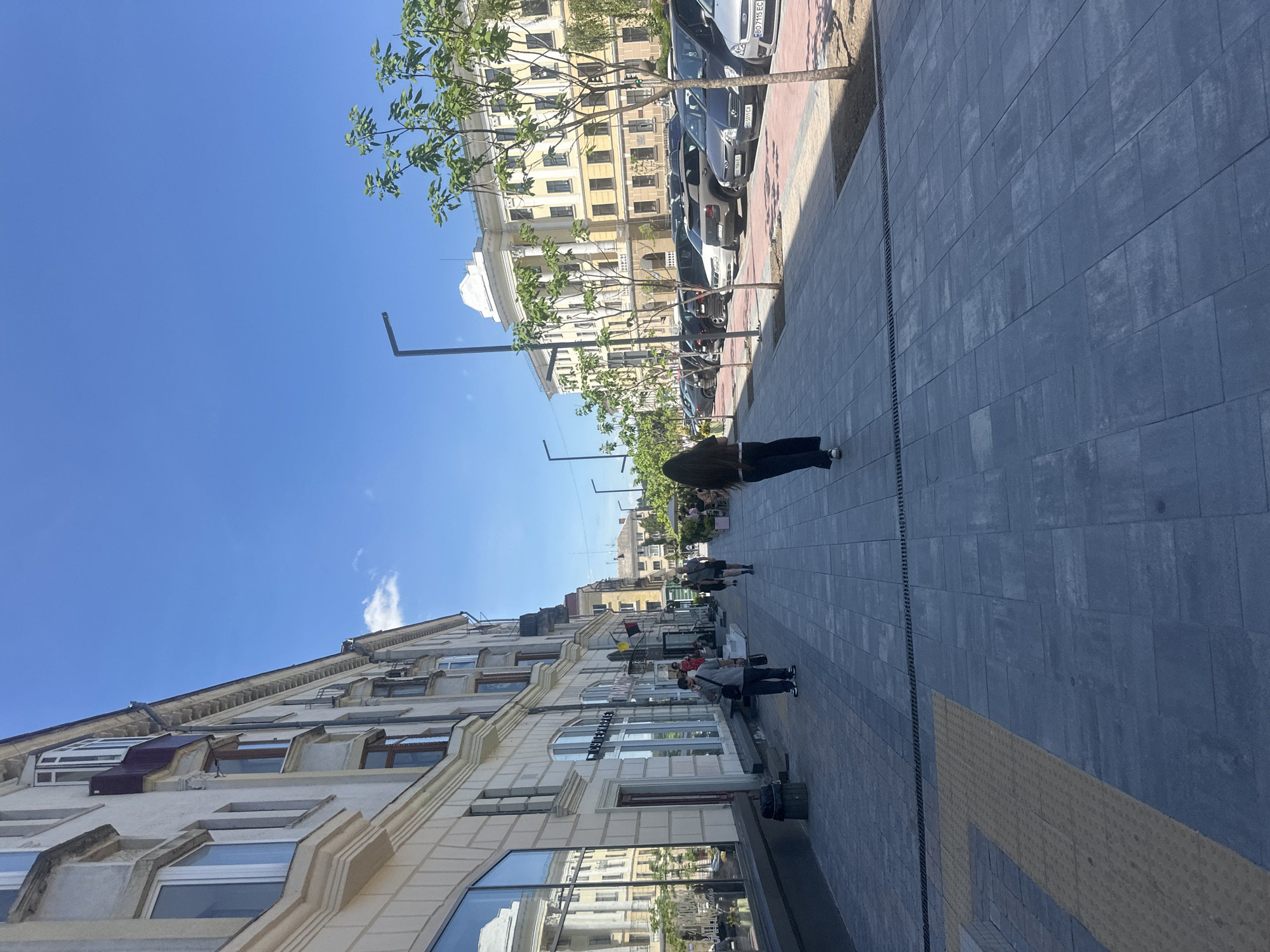 Ternopil morning: a British Shorthair cat and sunny city streets