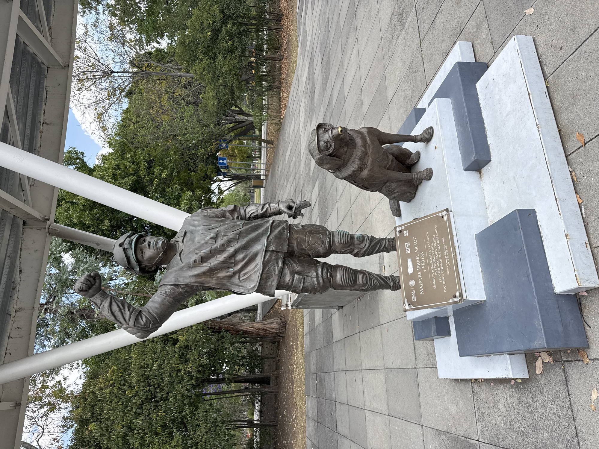 Evening park scenes documented in Puebla featuring sculpture, jacarandas