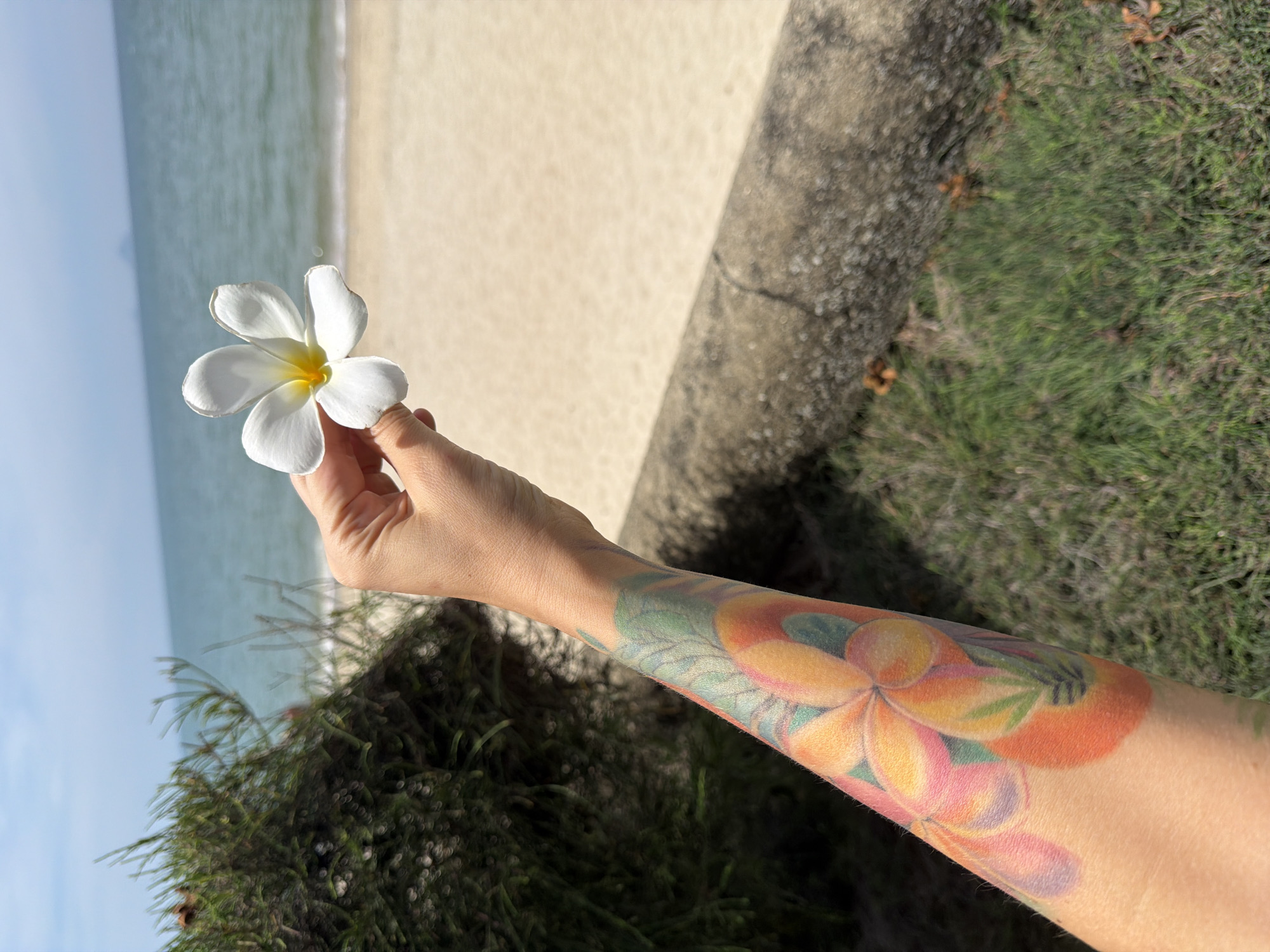 Morning scenes along Nha Trang's beachfront and city streets