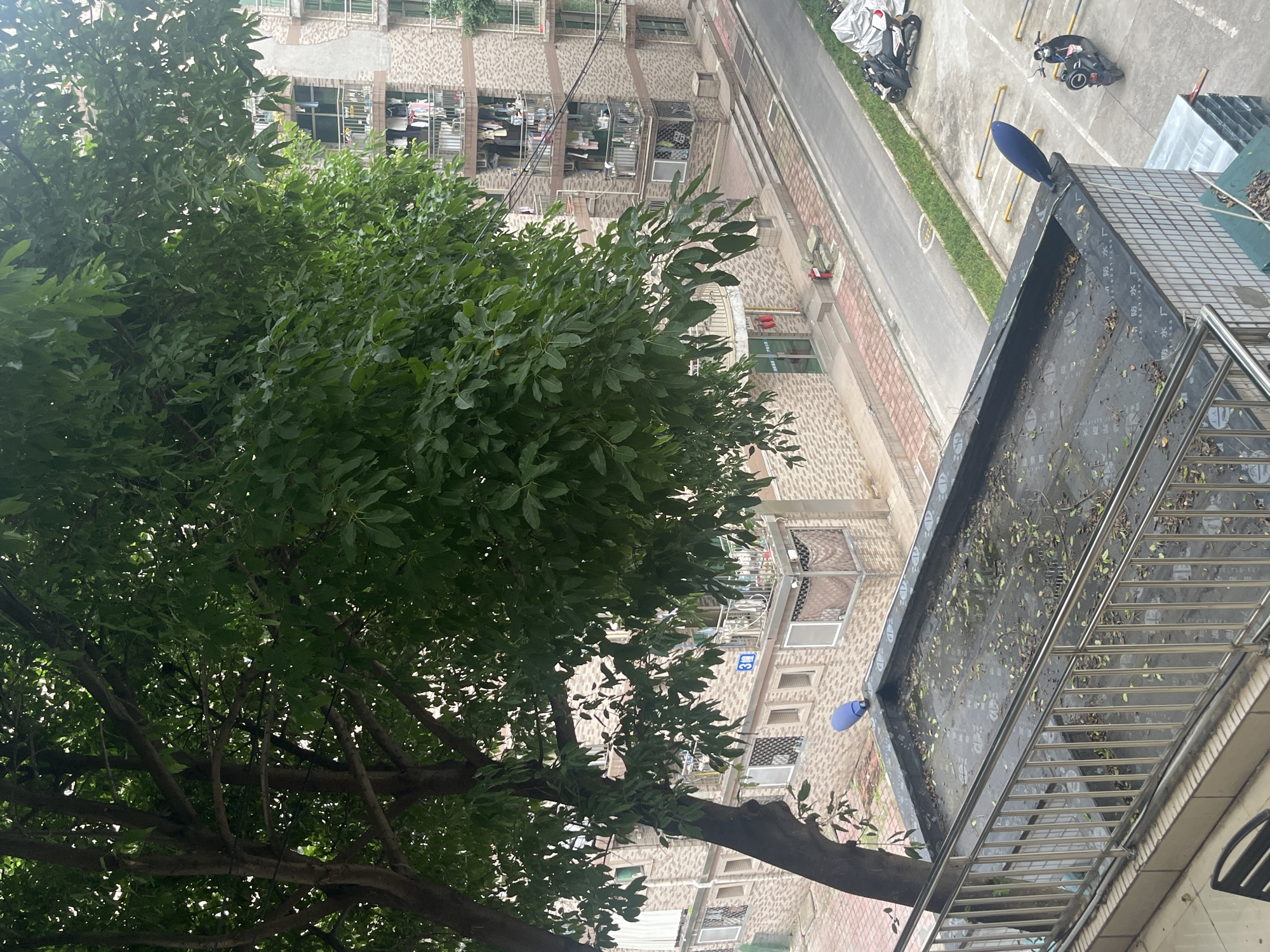 Urban scenes documented from elevated position in Yuzhong District