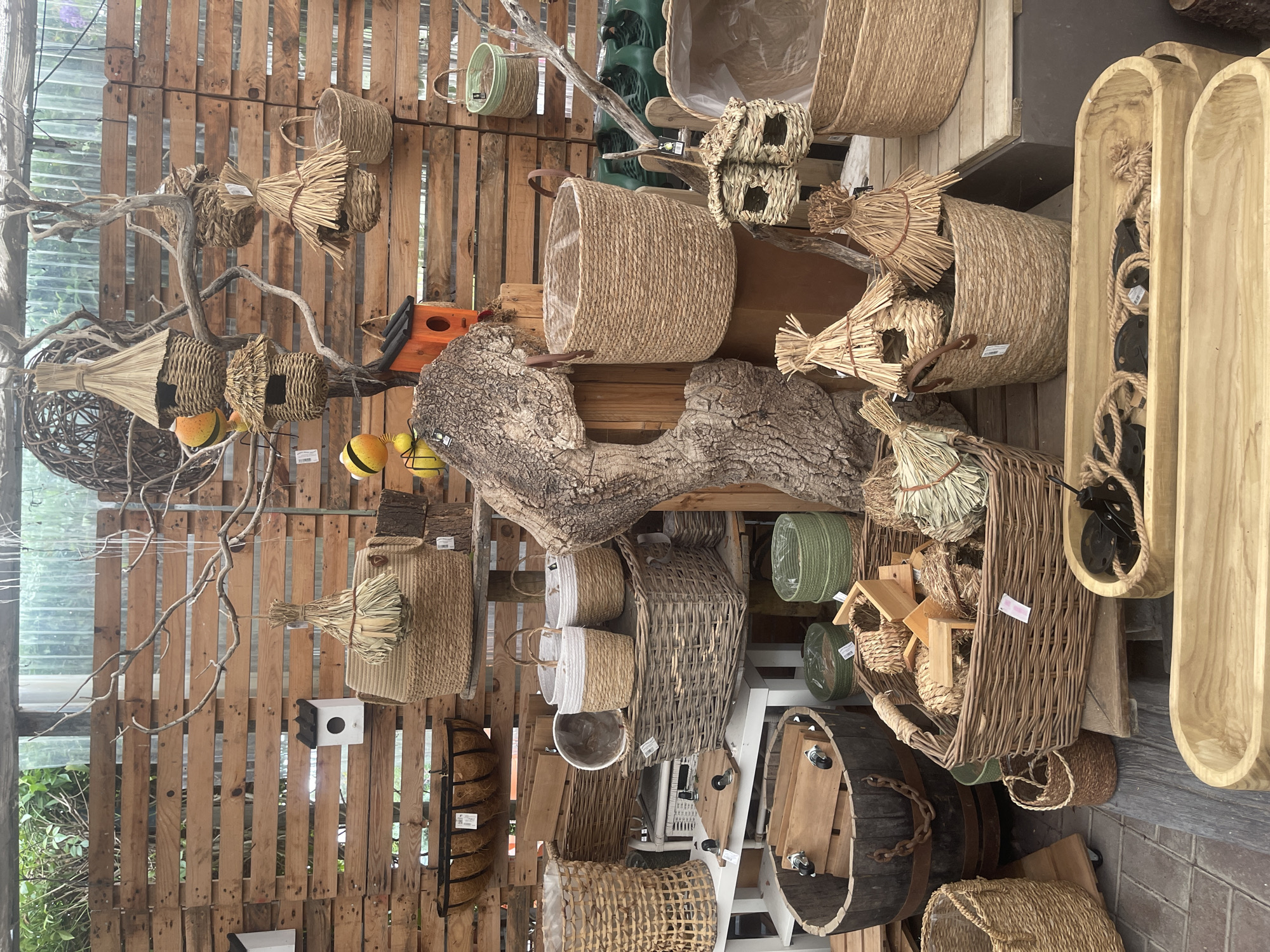 Browsing a garden and home decor shop in Colares, Portugal
