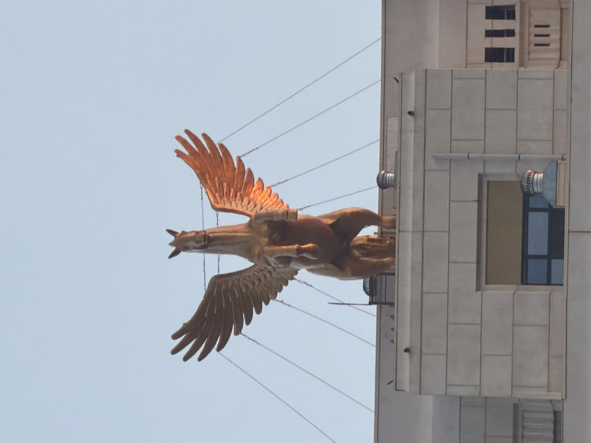 Golden Pegasus statue and waterside activity in Astana