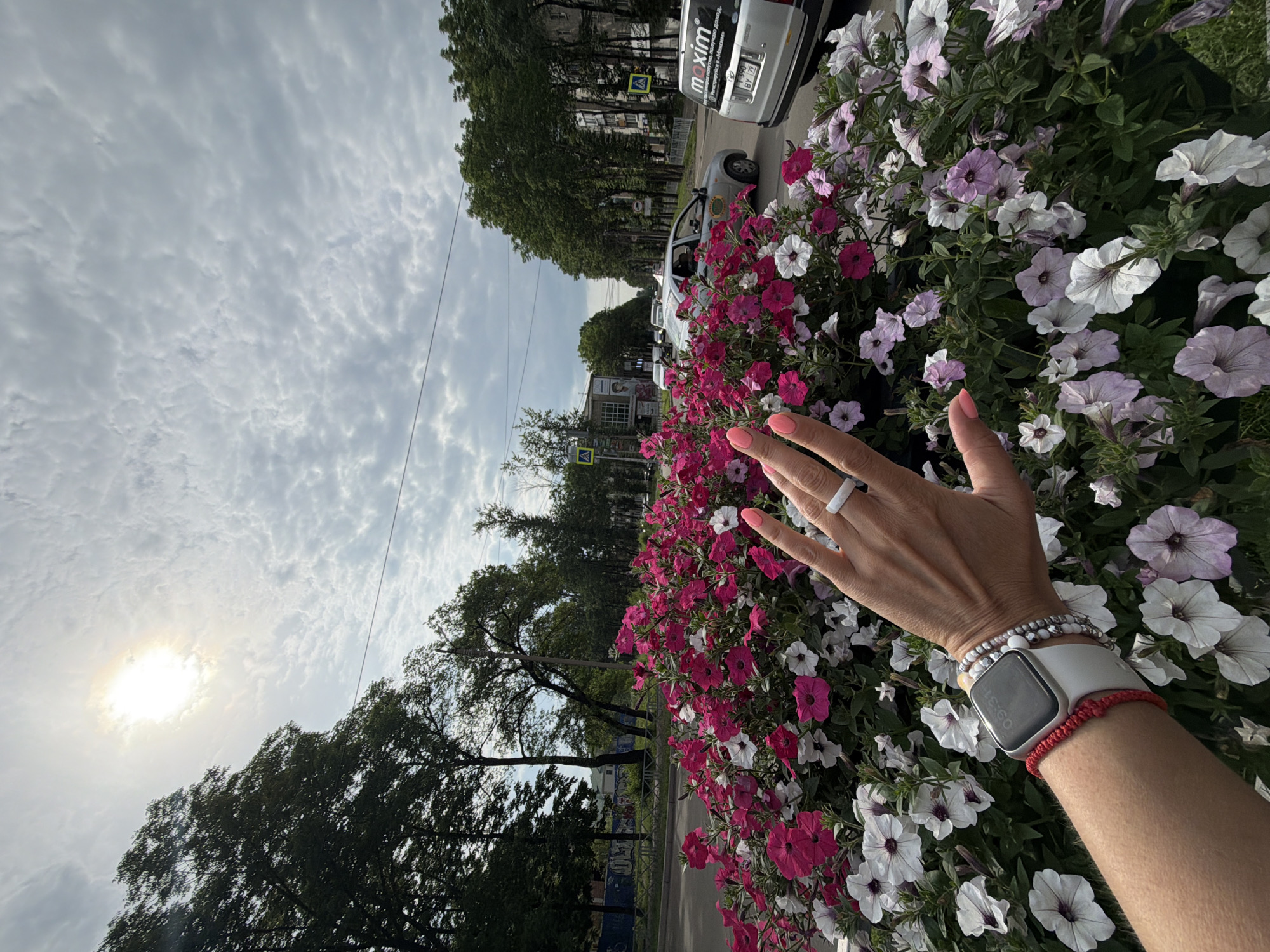 Selfies and flower shots at a Birobidzhan petunia planter