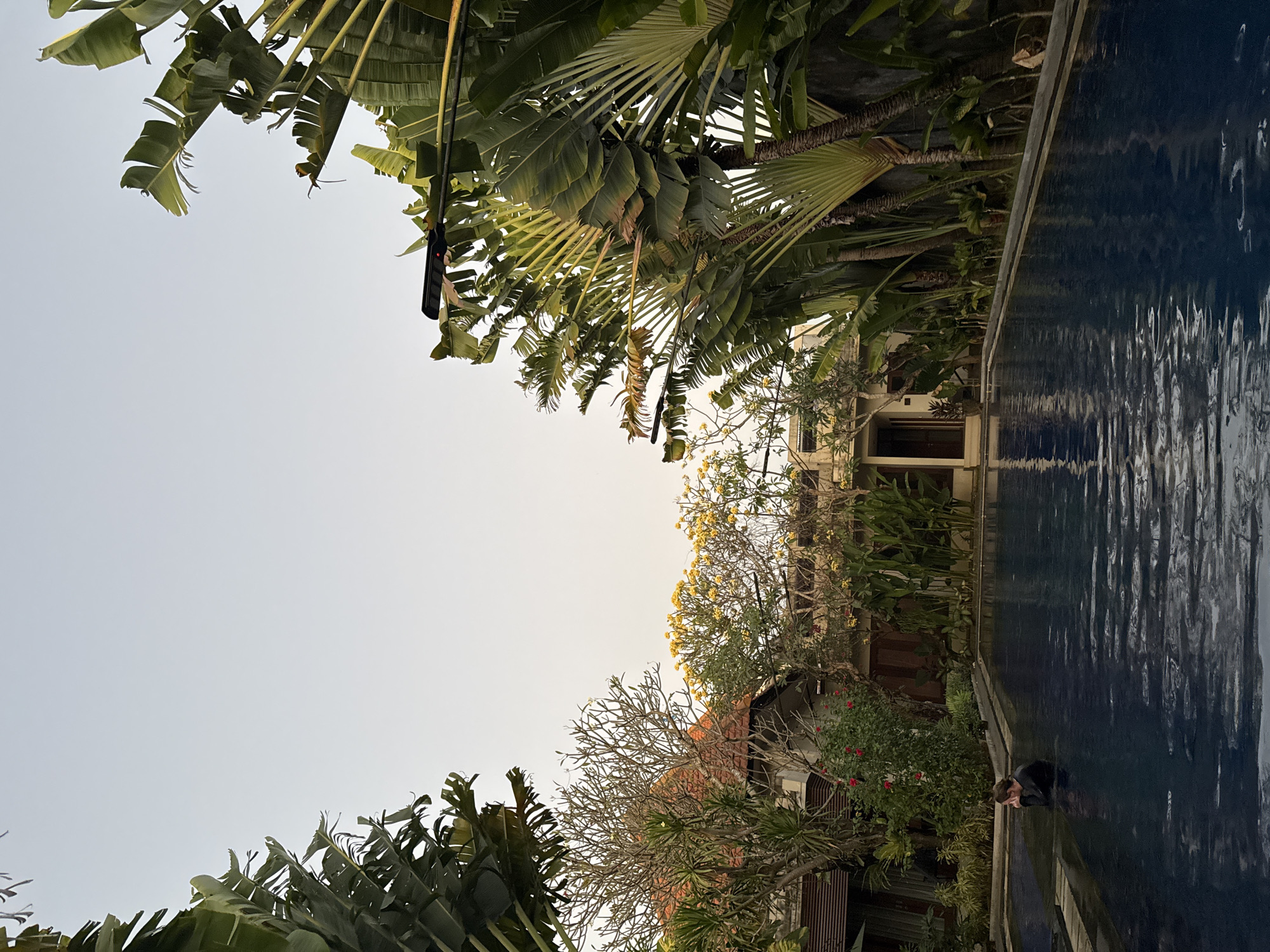 Denpasar at dusk: palms, pools, and fading golden skies