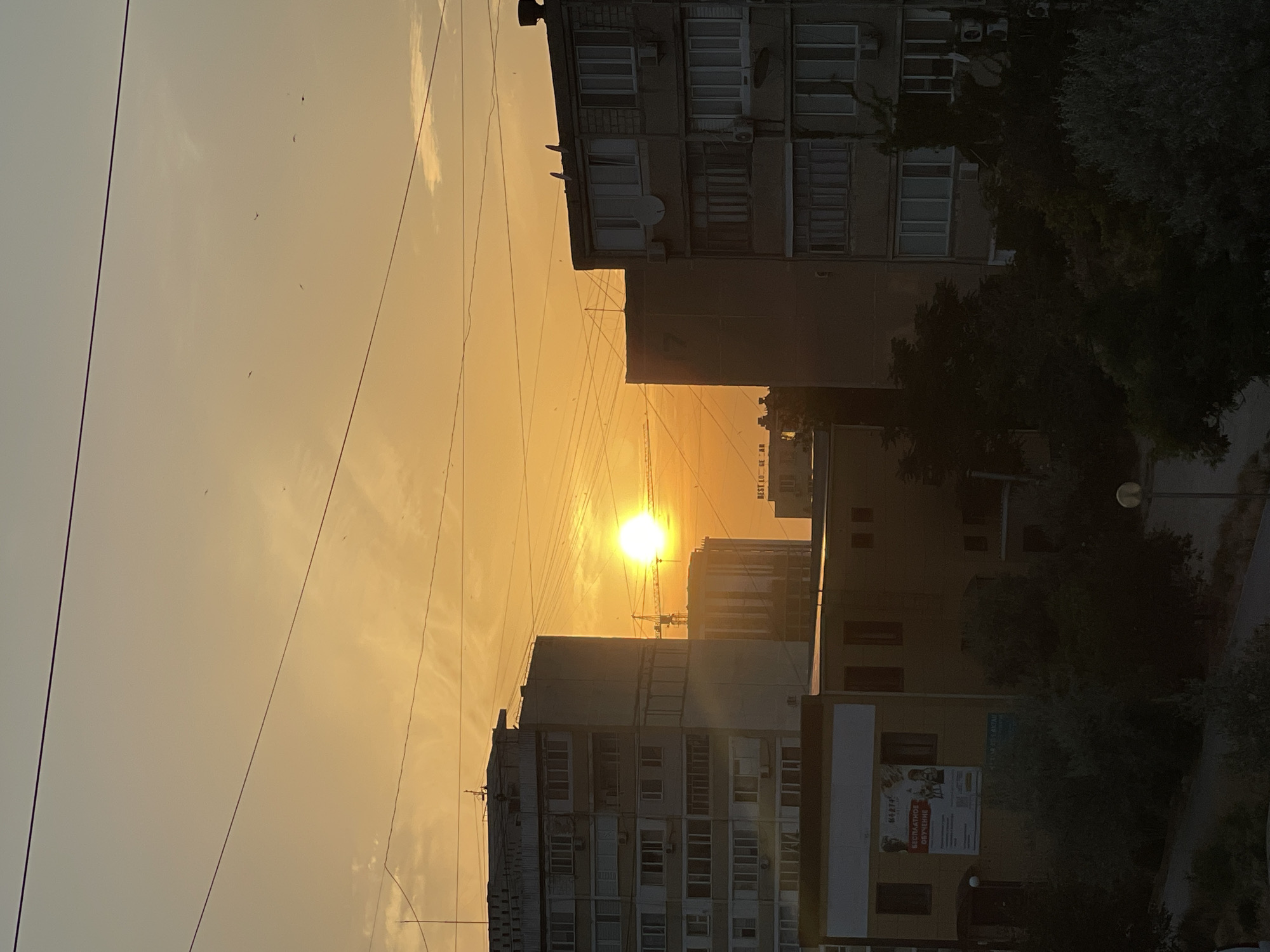 Aktau sunset and cats on a warm June evening
