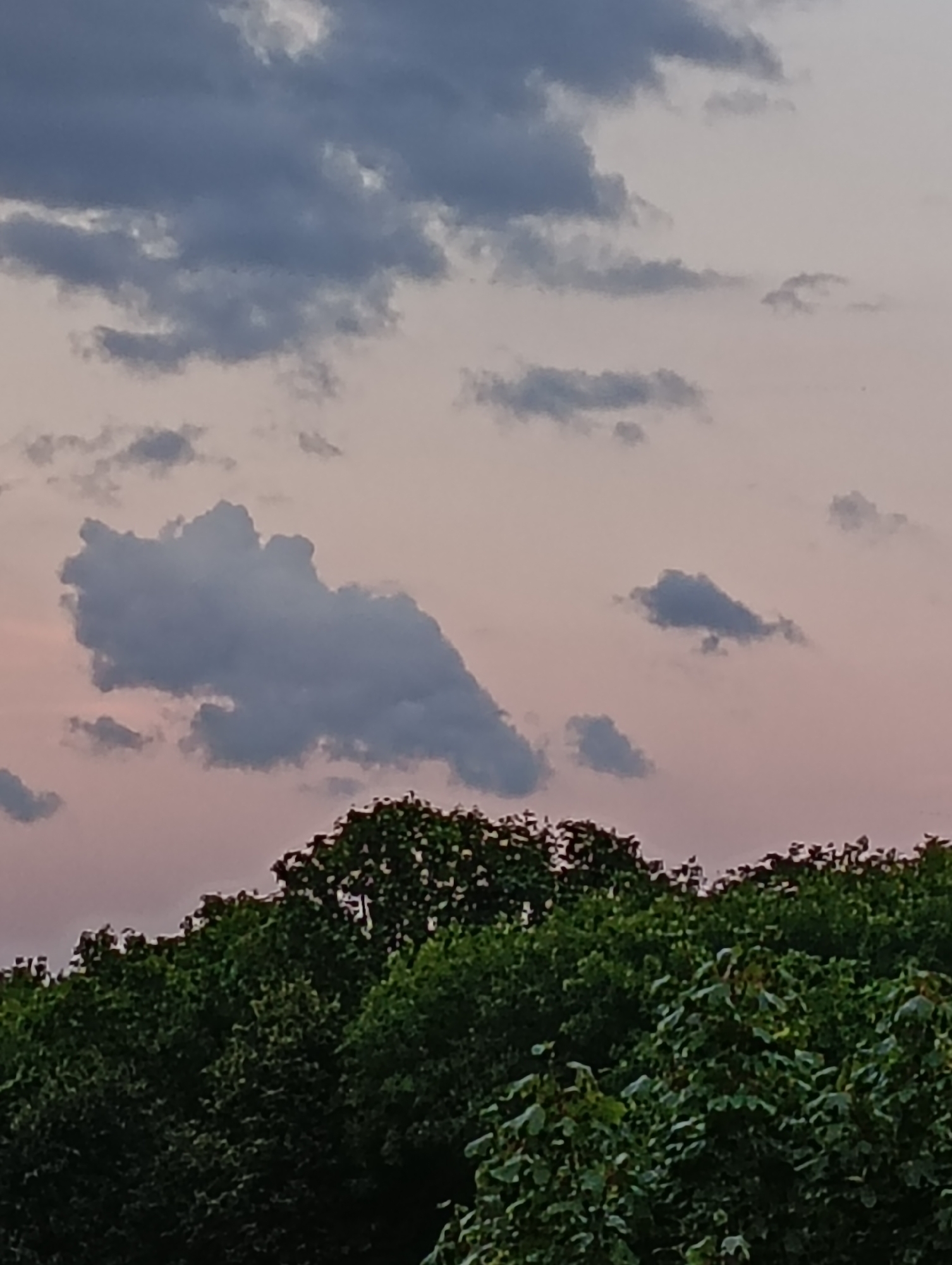 Pink and purple twilight sky over Hrodna with cloud shapes