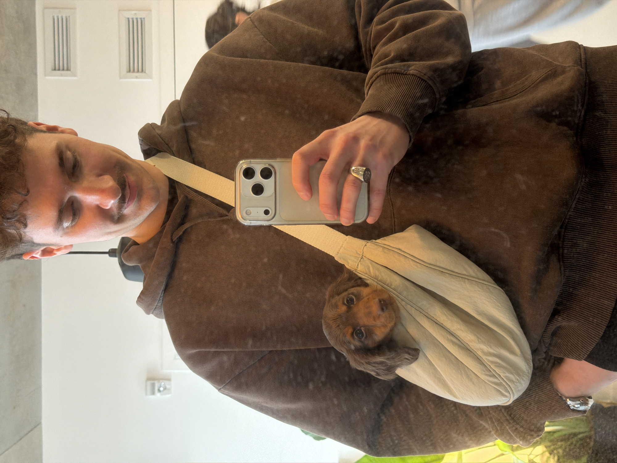 Person documents afternoon with brown puppy in Laval home
