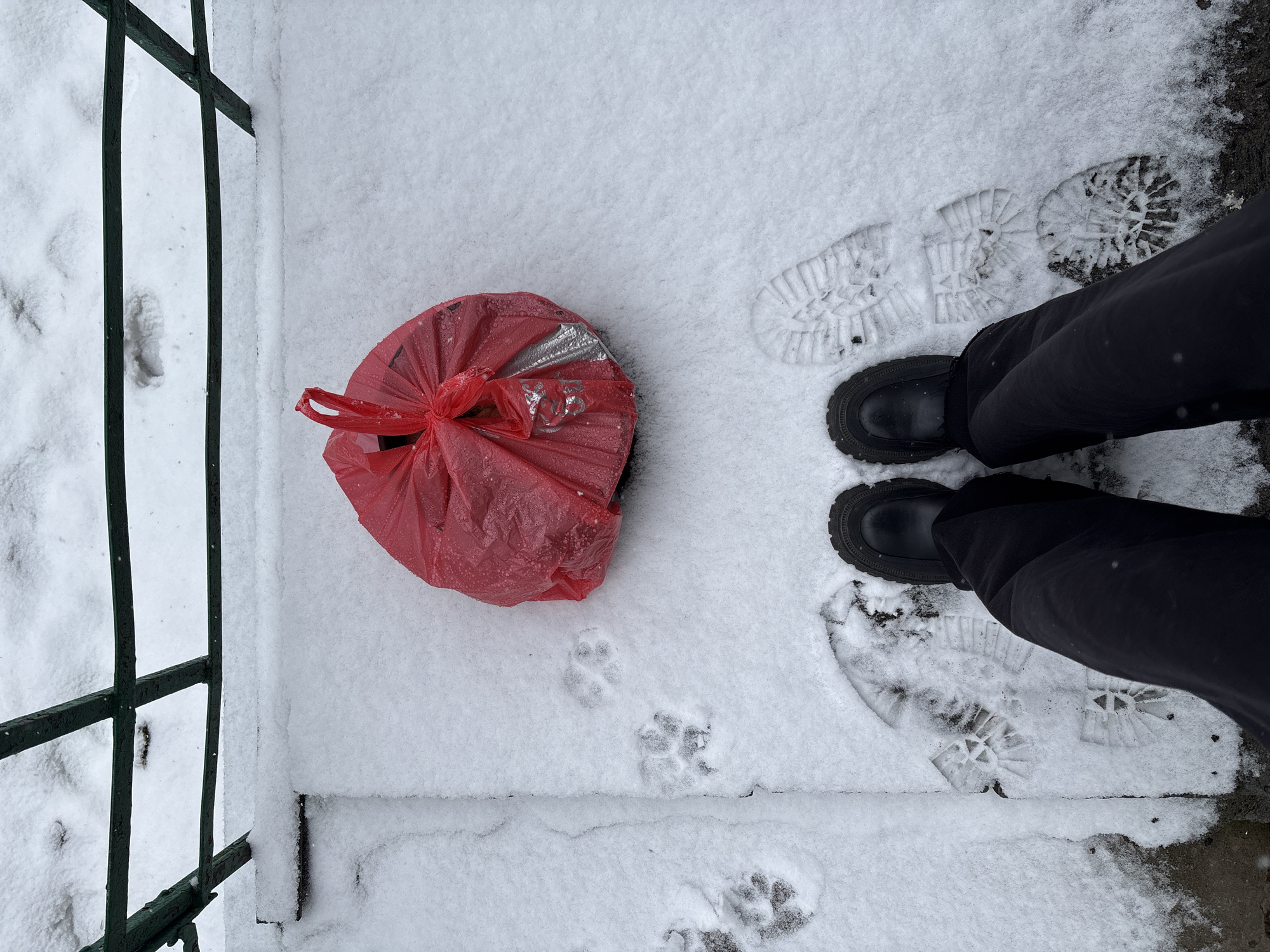 Red bag spotted in snowy Ust-Ilimsk residential area