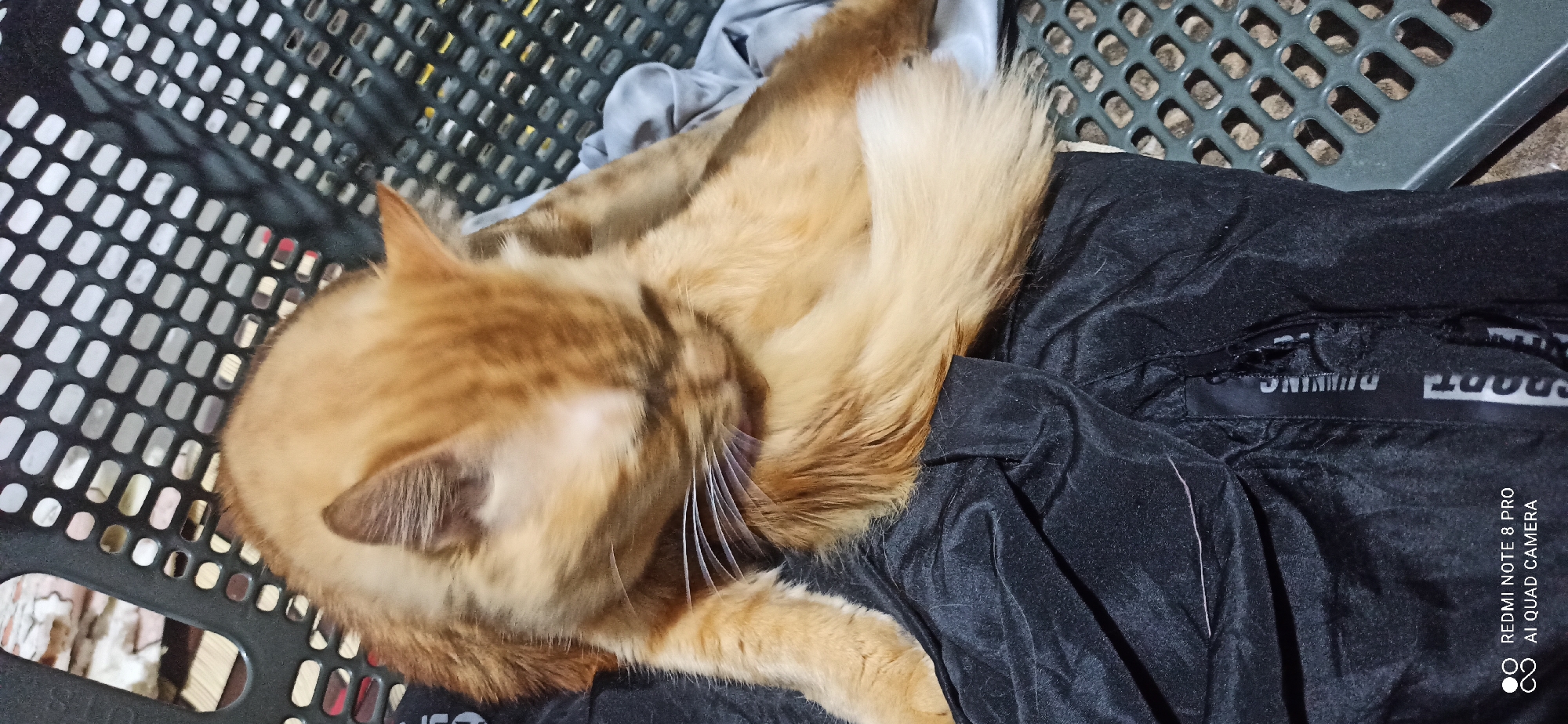 Event
