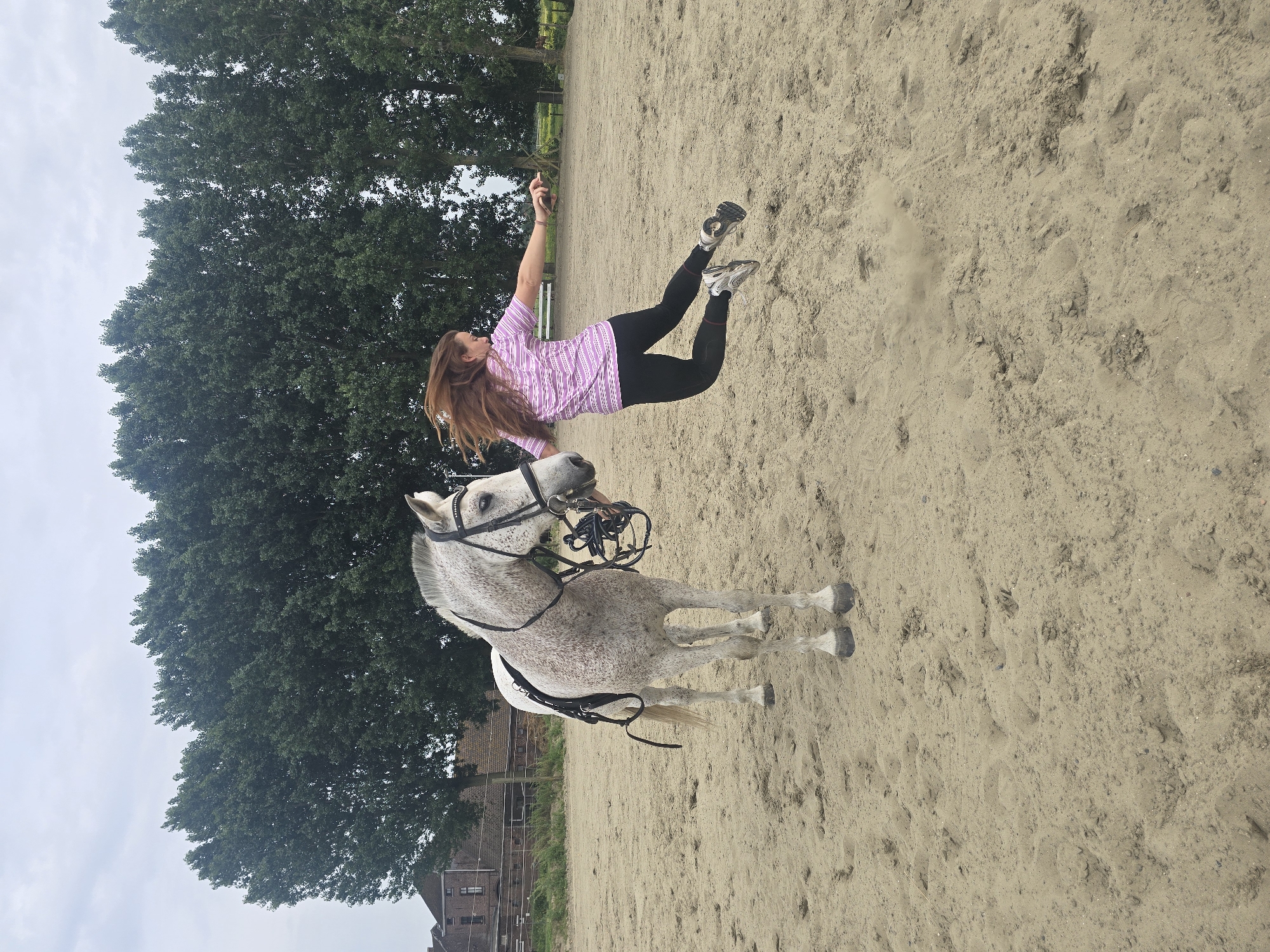 Woman falls from horse during training session in Belgium