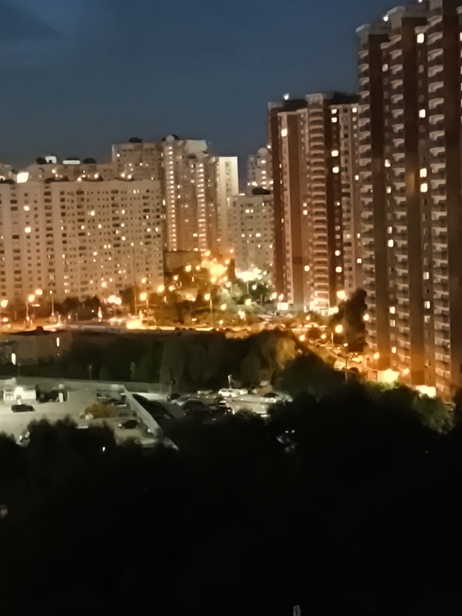 Scottish Fold by the window, city glowing outside at night