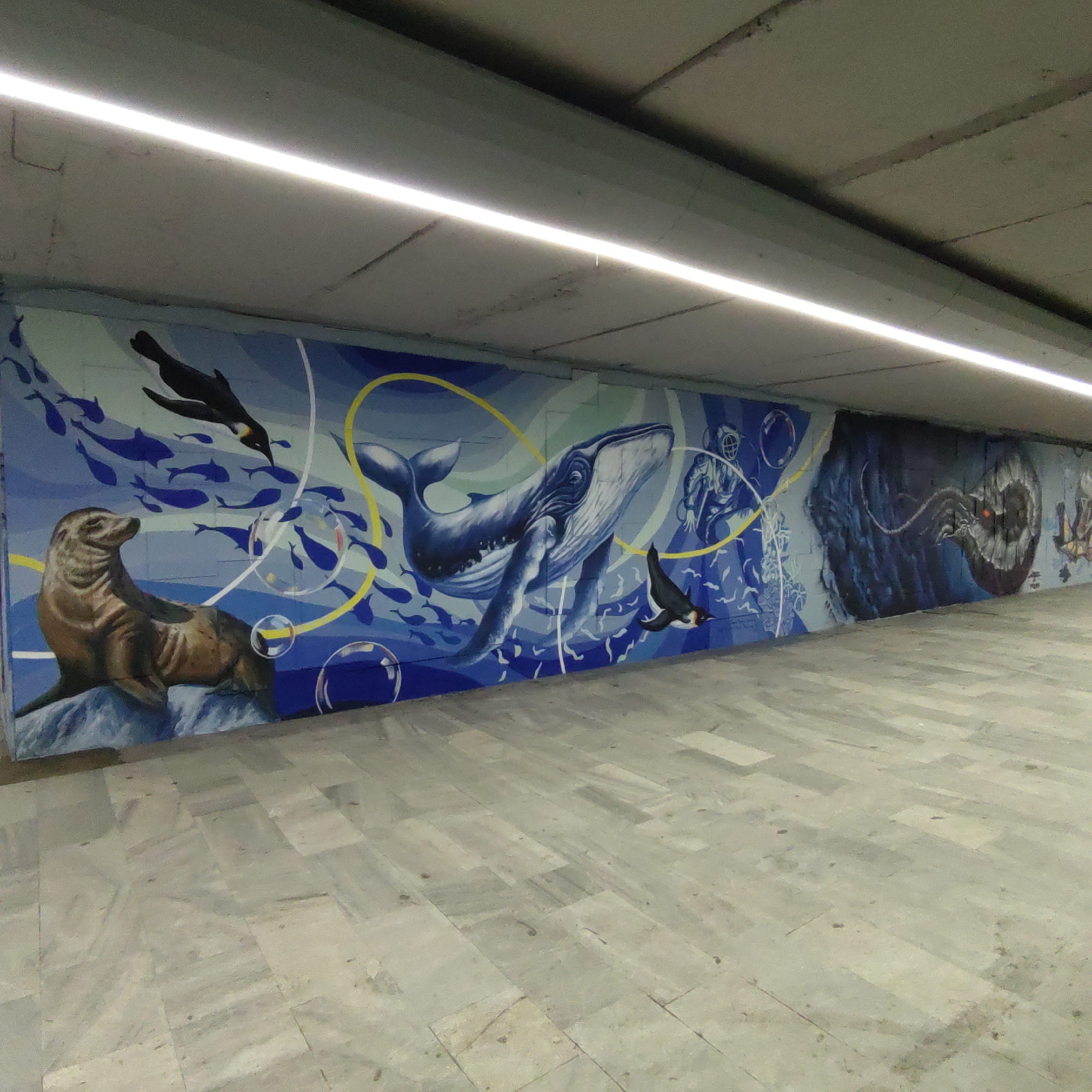 Sofia underpass murals feature ocean scenes, poker-playing frogs