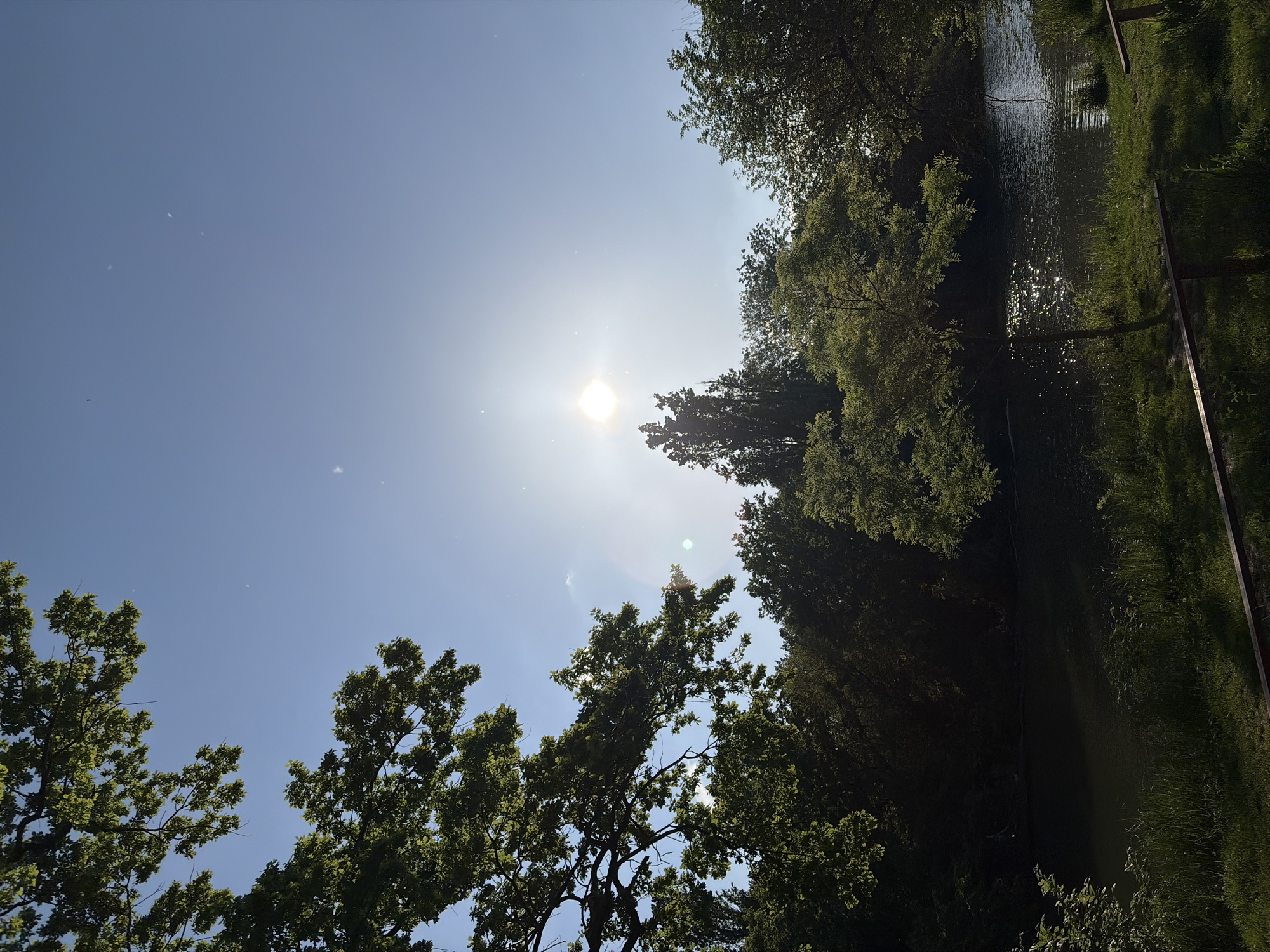 Afternoon sky and tree documentation in Krasnodar park