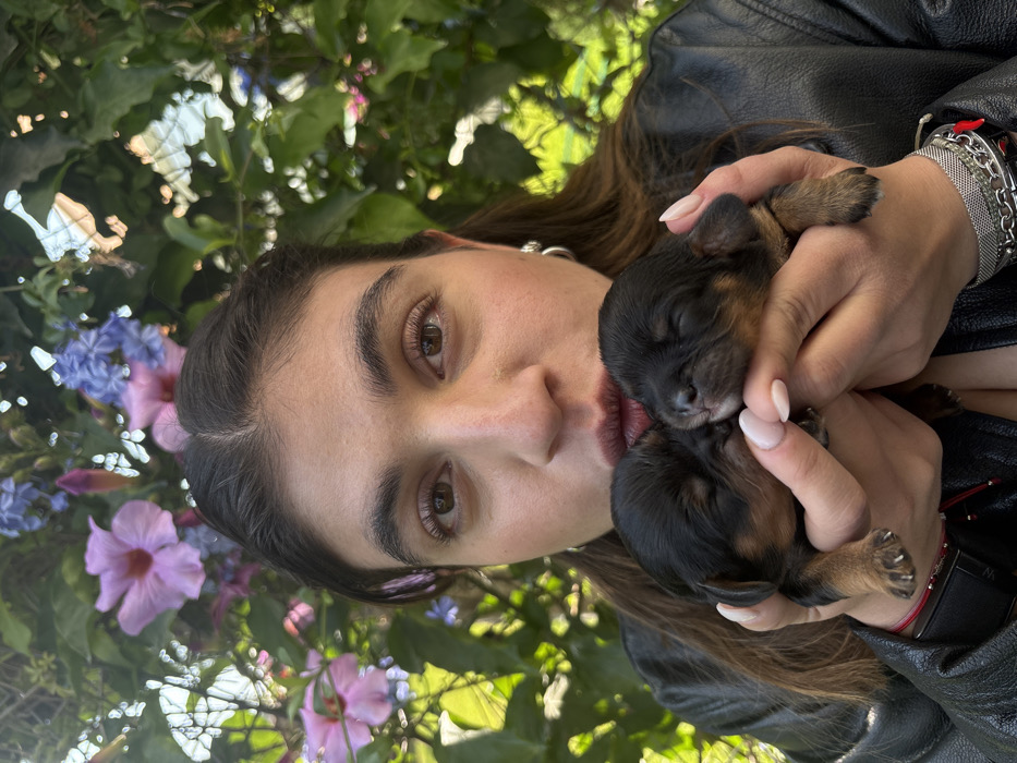Woman poses with sleeping puppies in Puebla City garden
