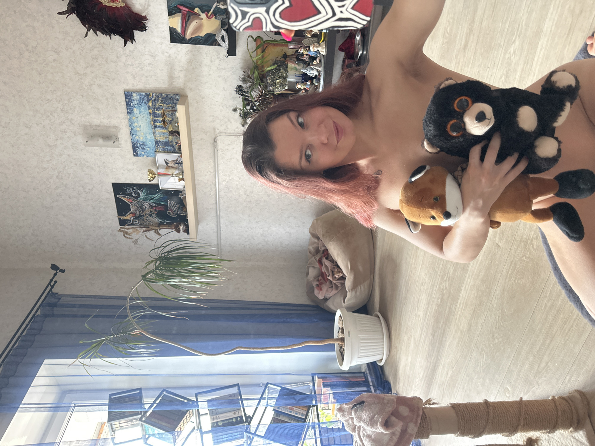 Person with pink hair photographed with stuffed animals in Vladimir residence