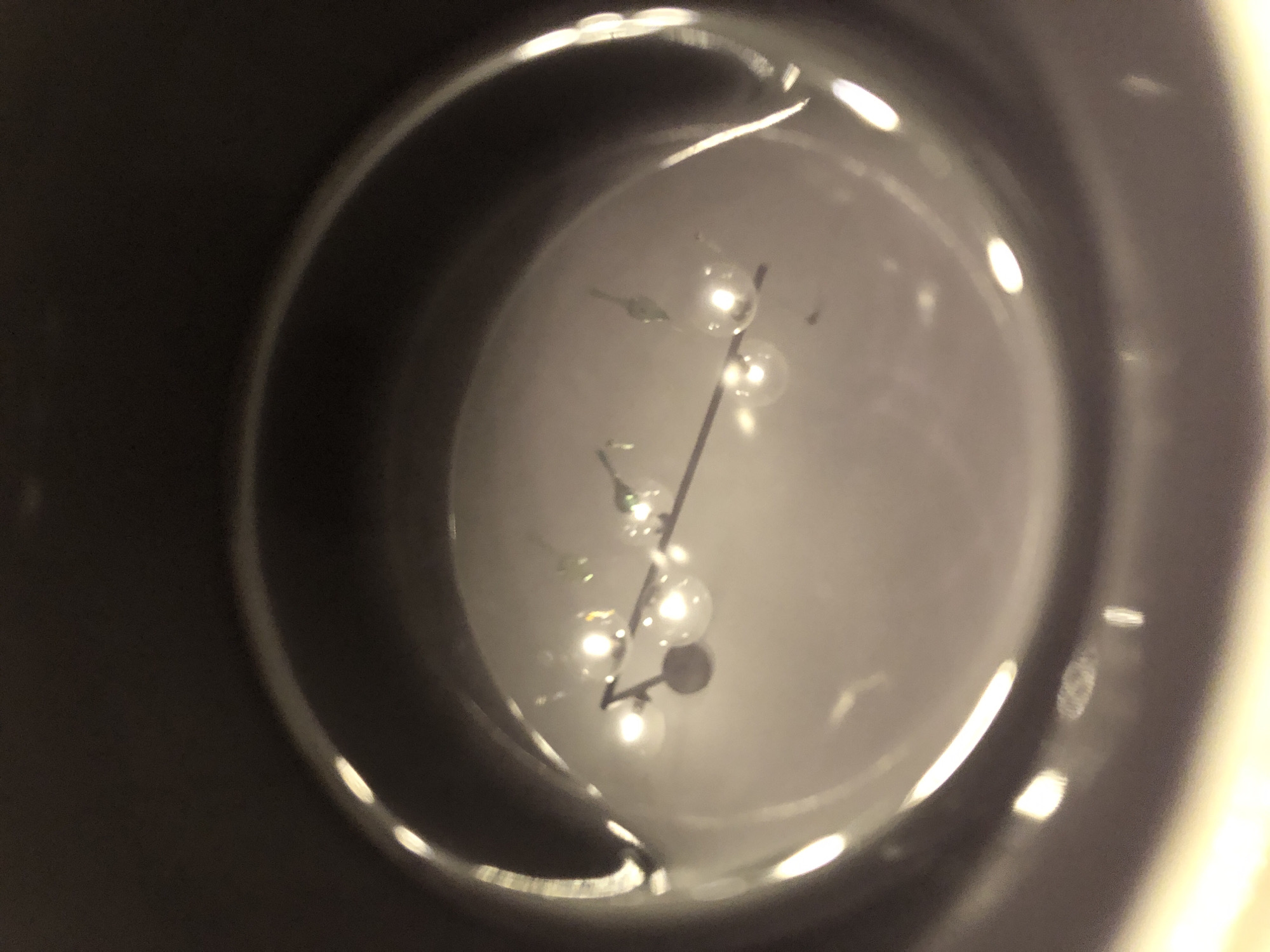 Evening Documentation of Everyday Objects Through Close-Up Observations
