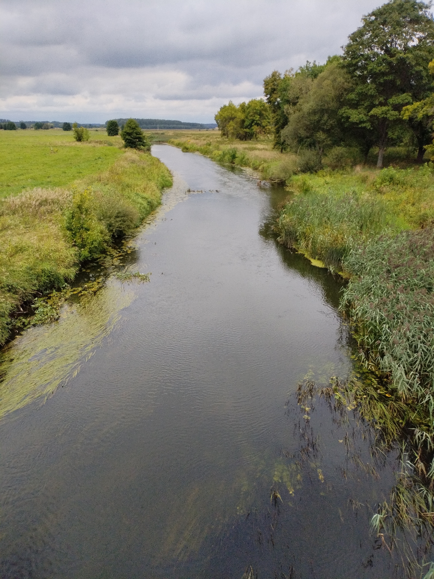 Rural Belarus: river, a worn house, and hydrangeas in bloom