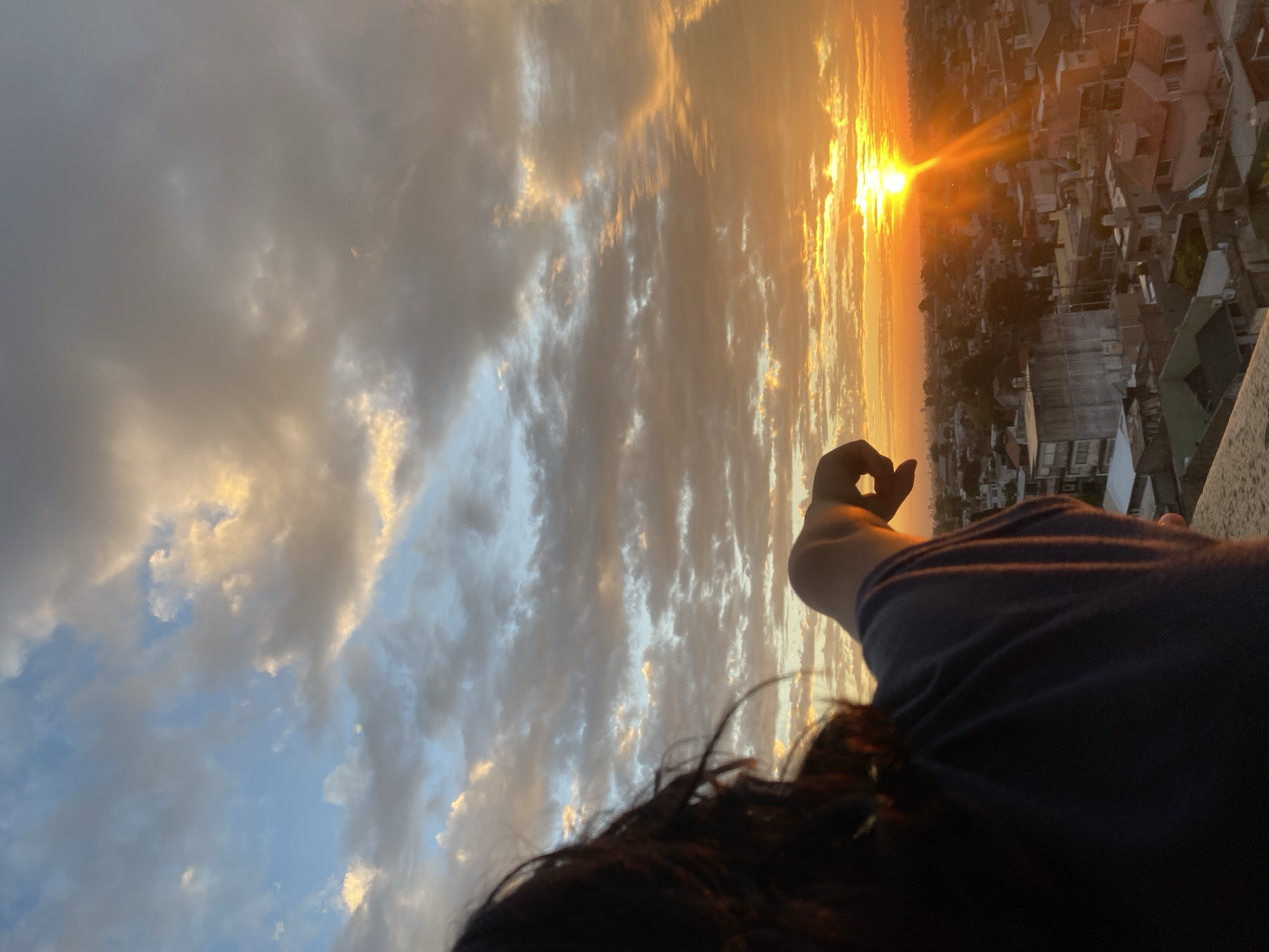 Sunset viewing and pet interactions captured in Wilde, Argentina
