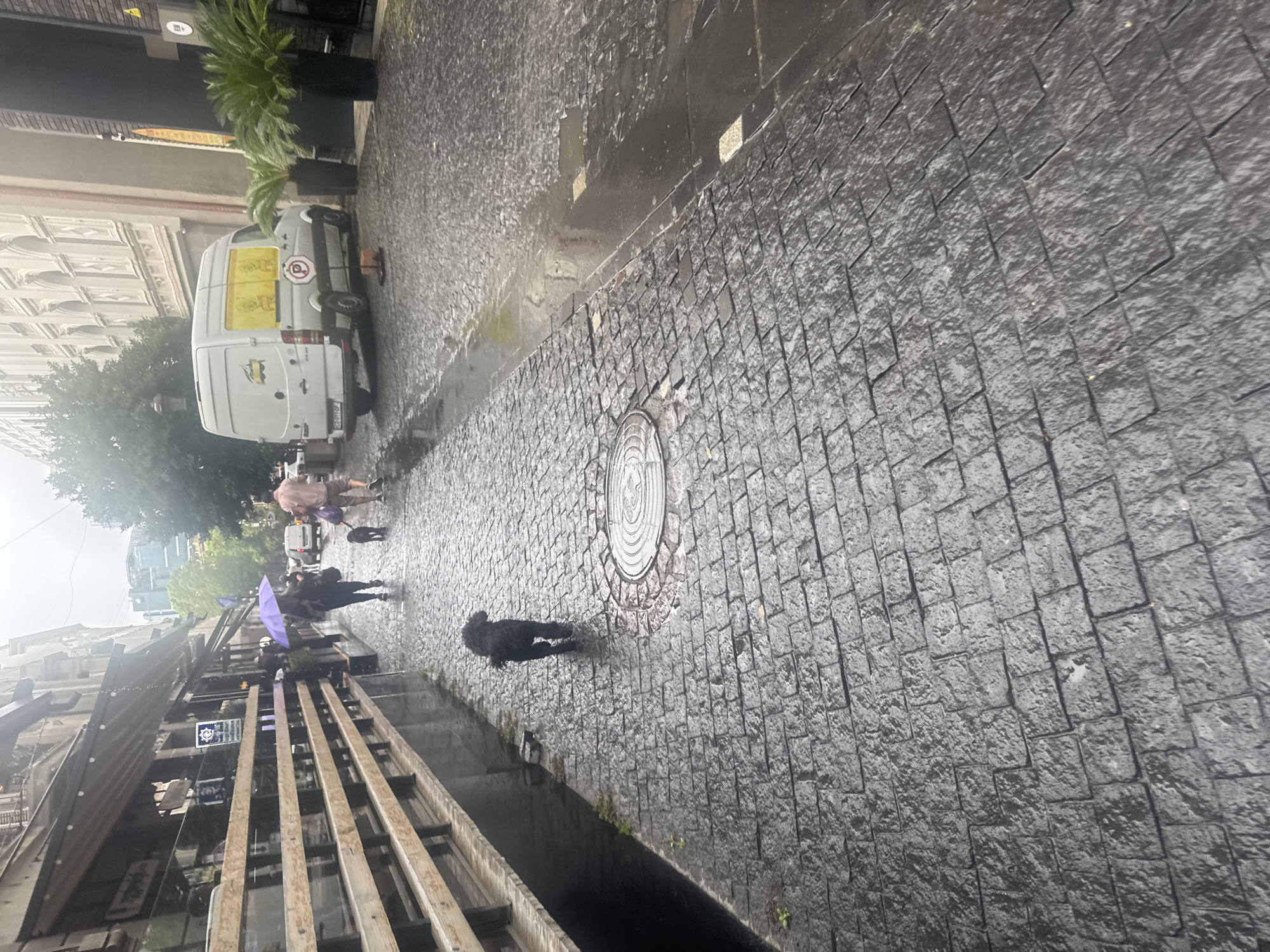 Morning street life documented across rainy Tbilisi neighborhoods