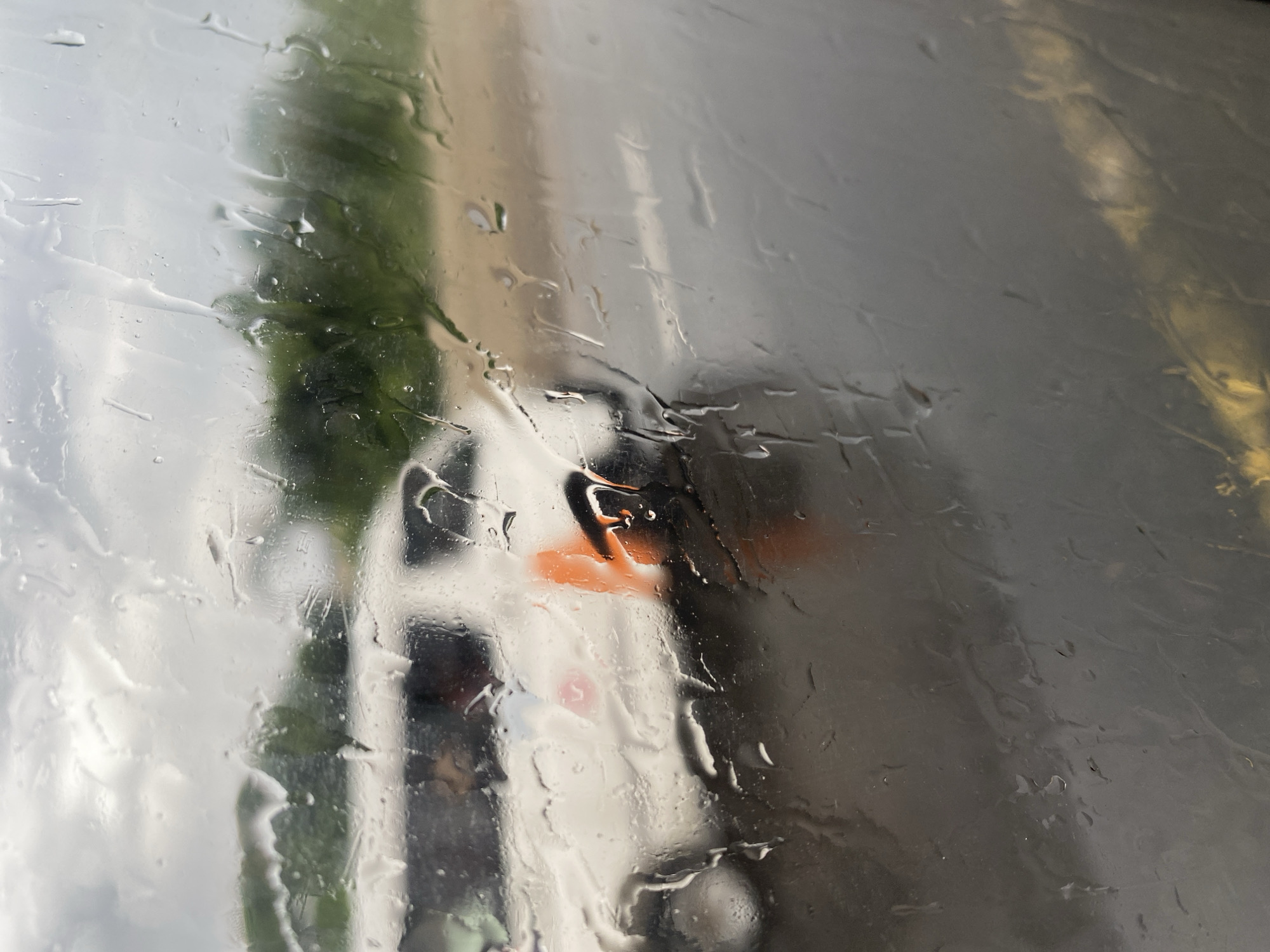 Rainy window view captures blurred street scene with greenery