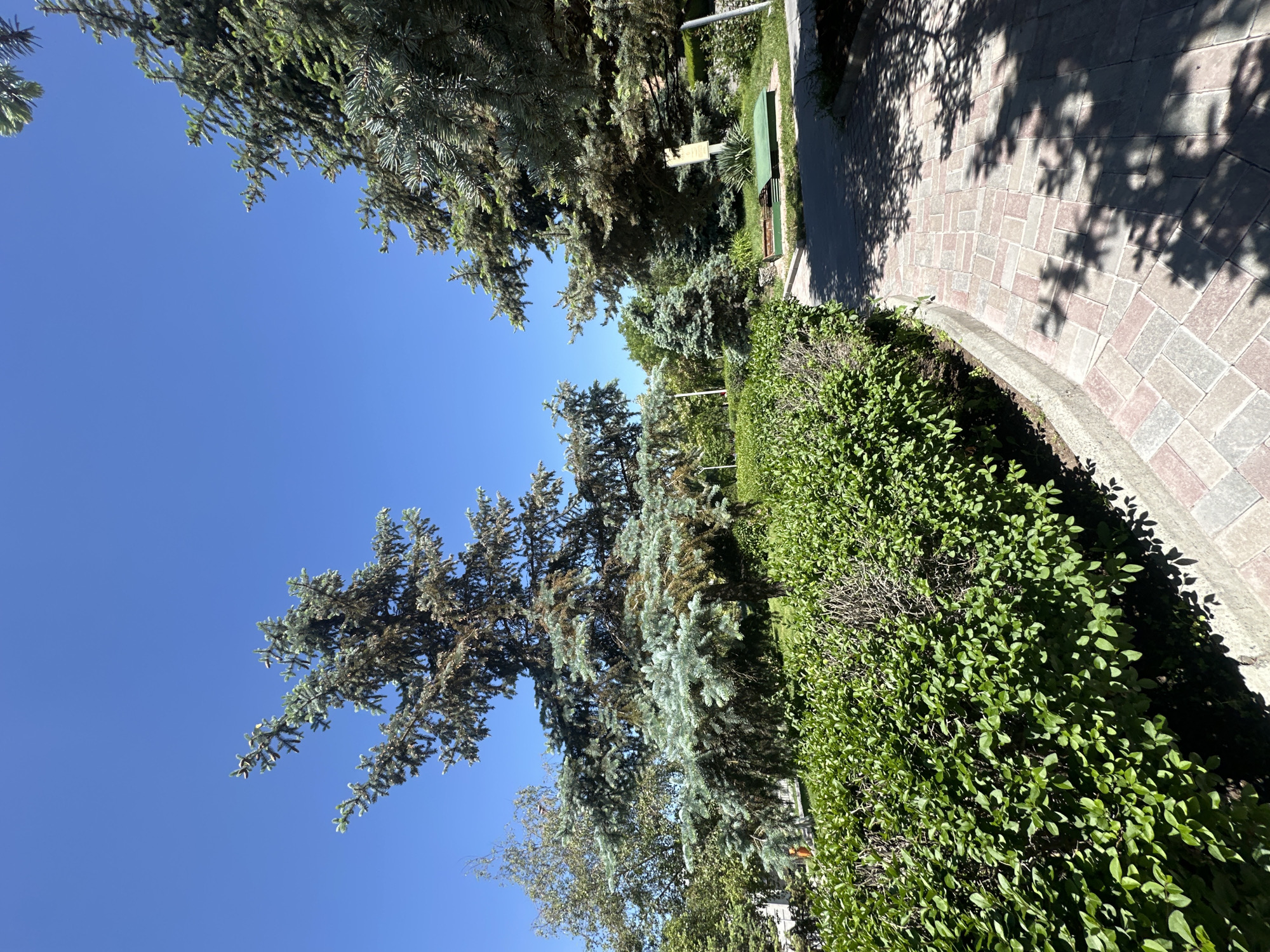 Morning park scenes captured in Yerevan, Armenia