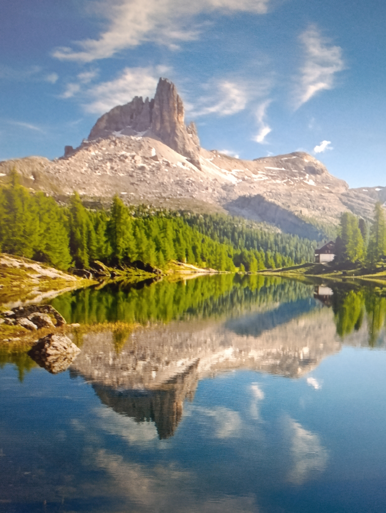 Mixed landscape and digital images captured by single witness