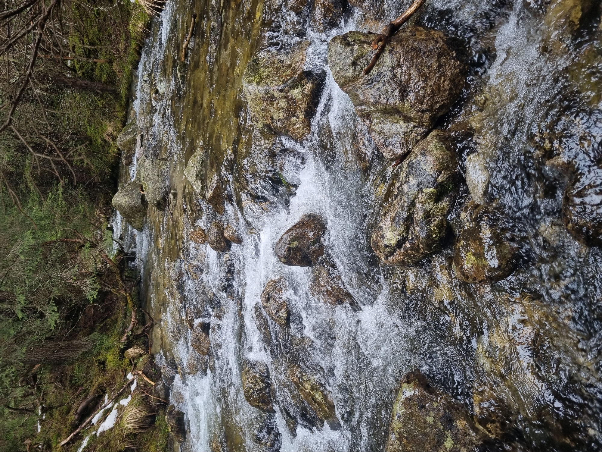 Hiker crosses forest stream in Bulgarian mountains