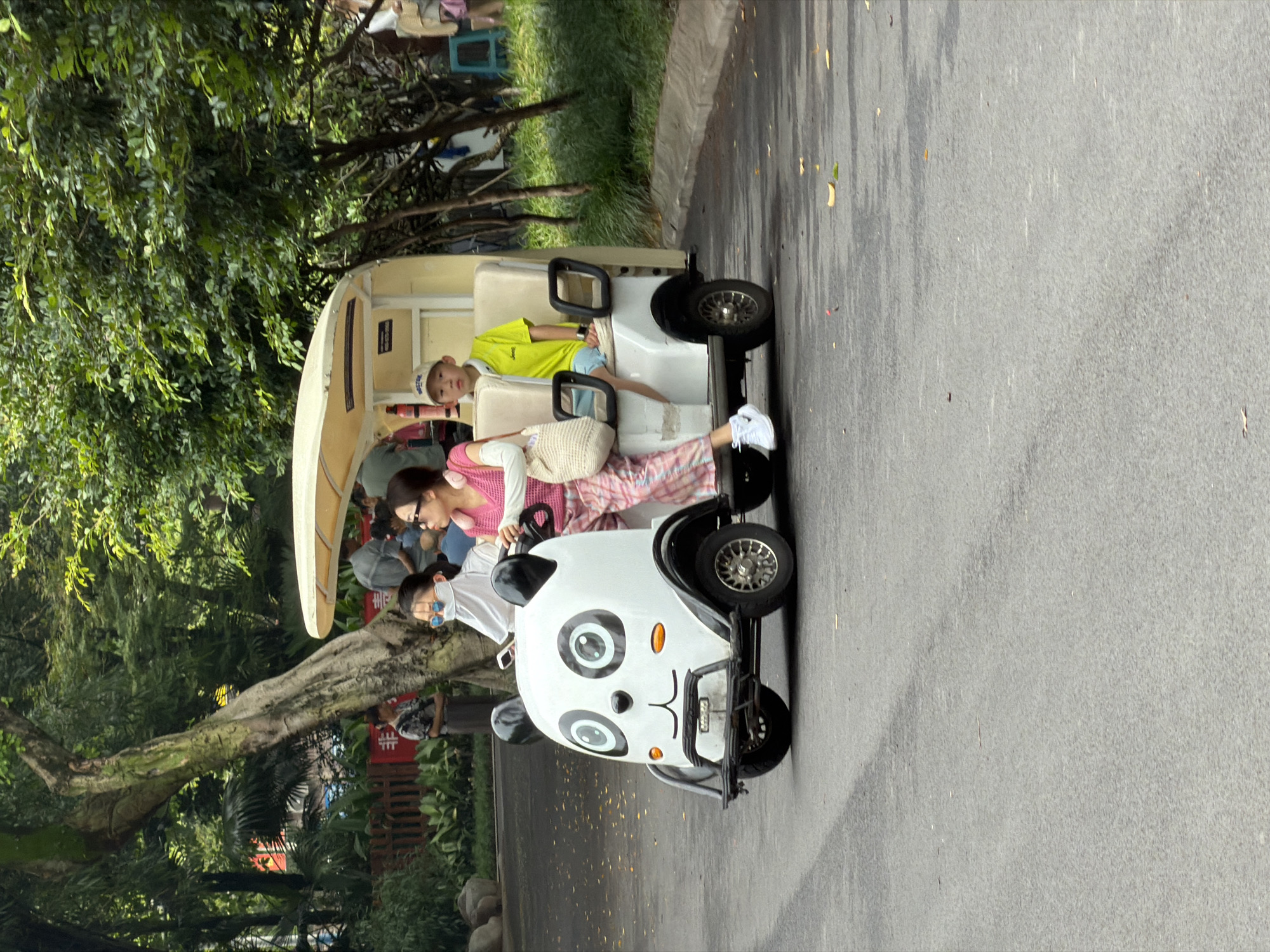 Panda-themed EV and park visitors in Jiulongpo District