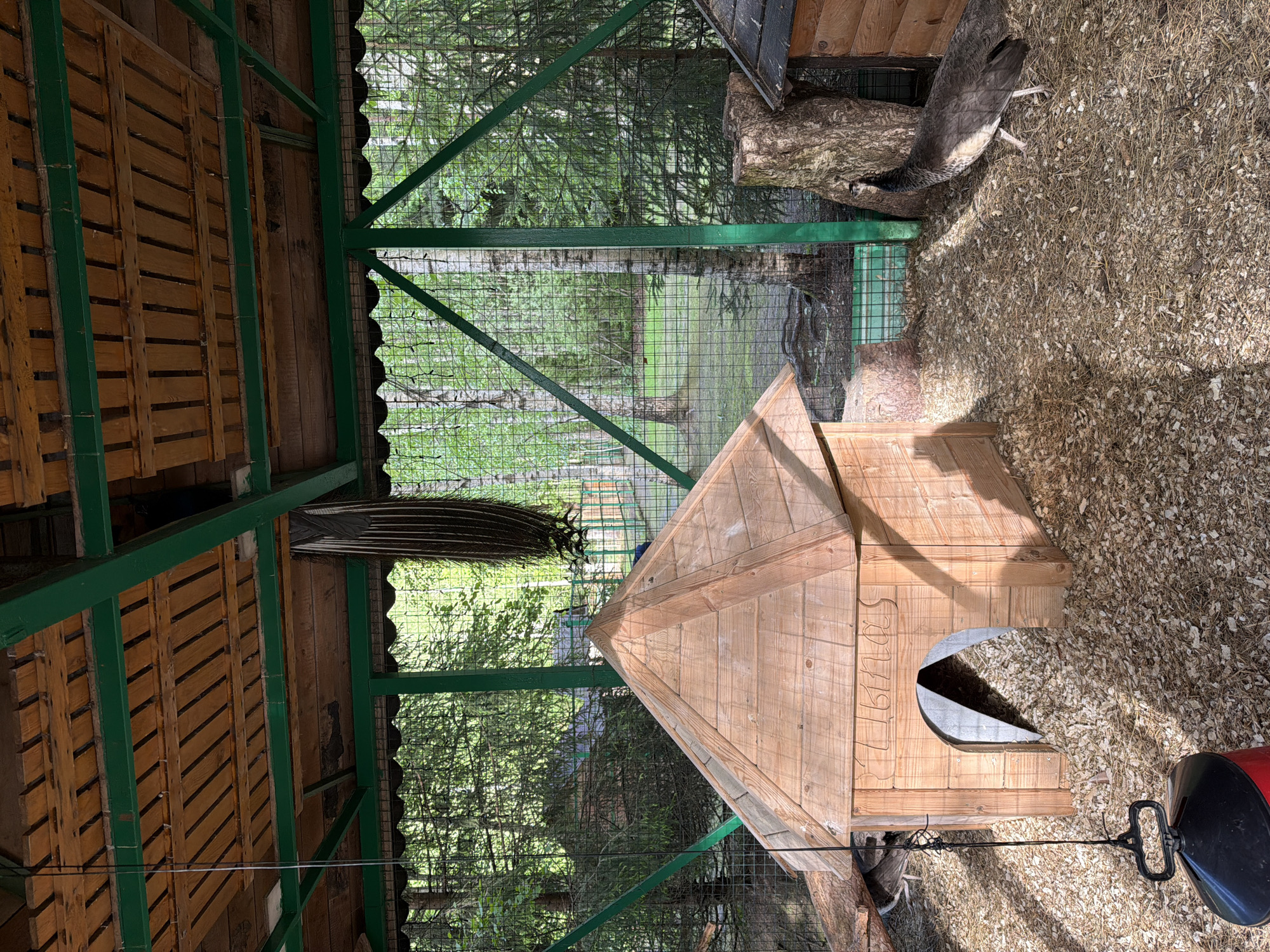 Afternoon visit to wildlife park in Zaplav'e, Russia
