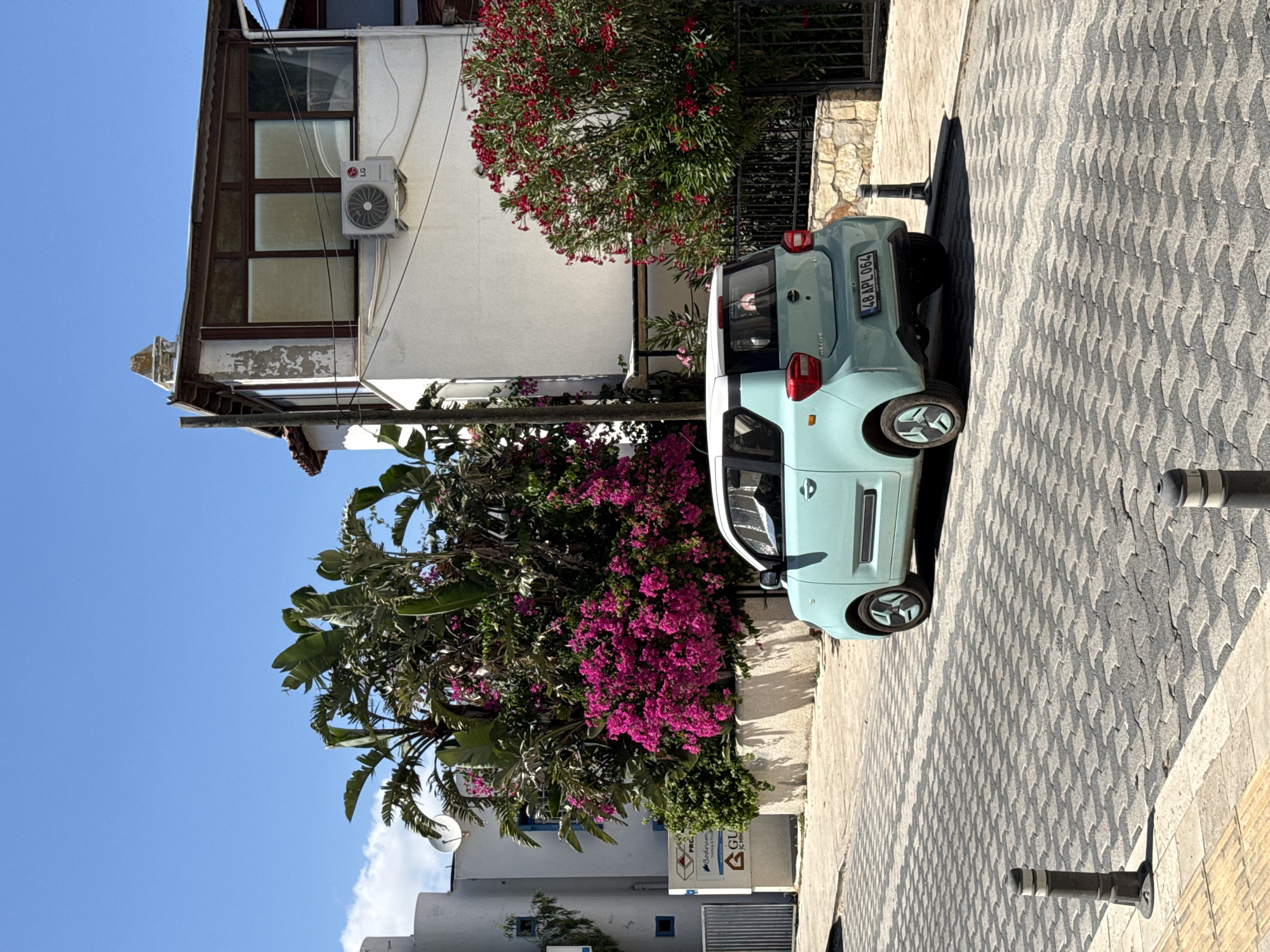 Cat sits on parked car in Bodrum streets
