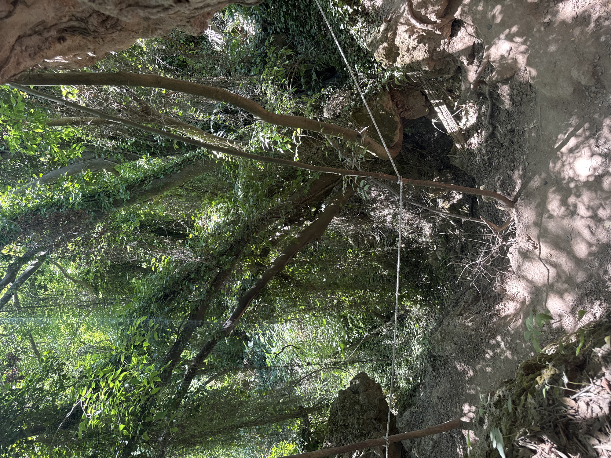 Morning hike through forested trails in Anna, Spain