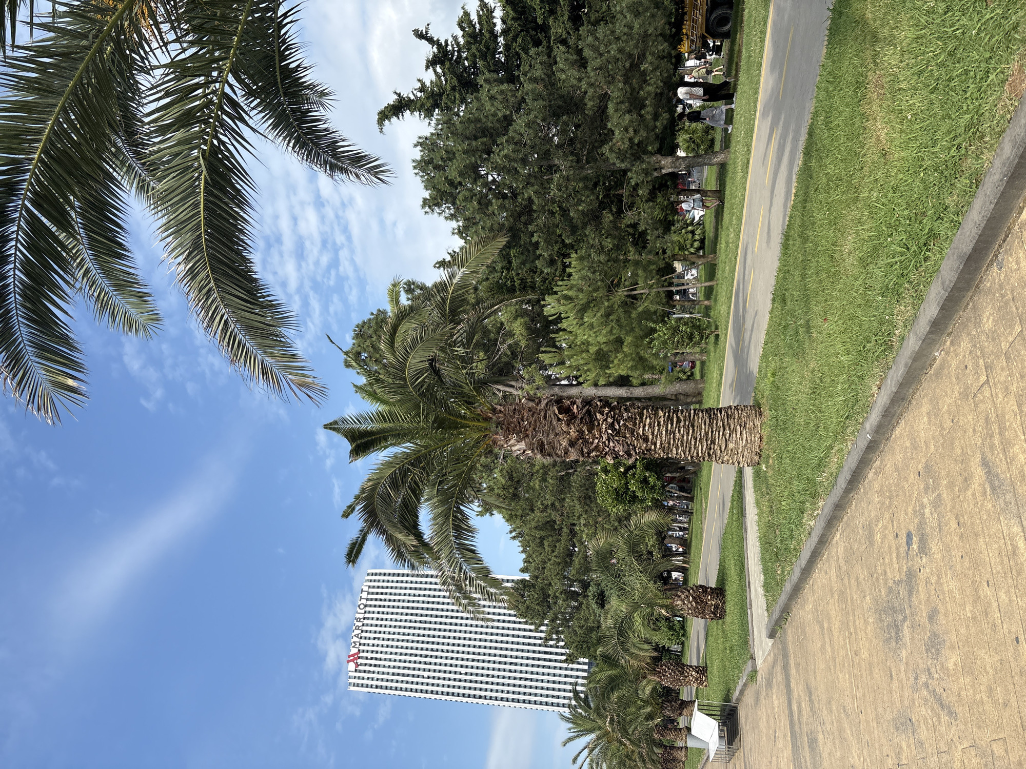Beachfront promenade scene with palm trees, scooters, and skyscrapers