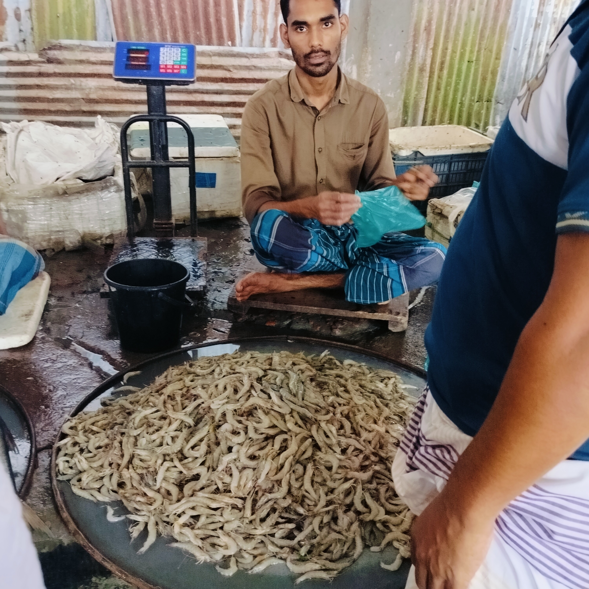 Morning fish market bustles in Lalmohan, Bangladesh