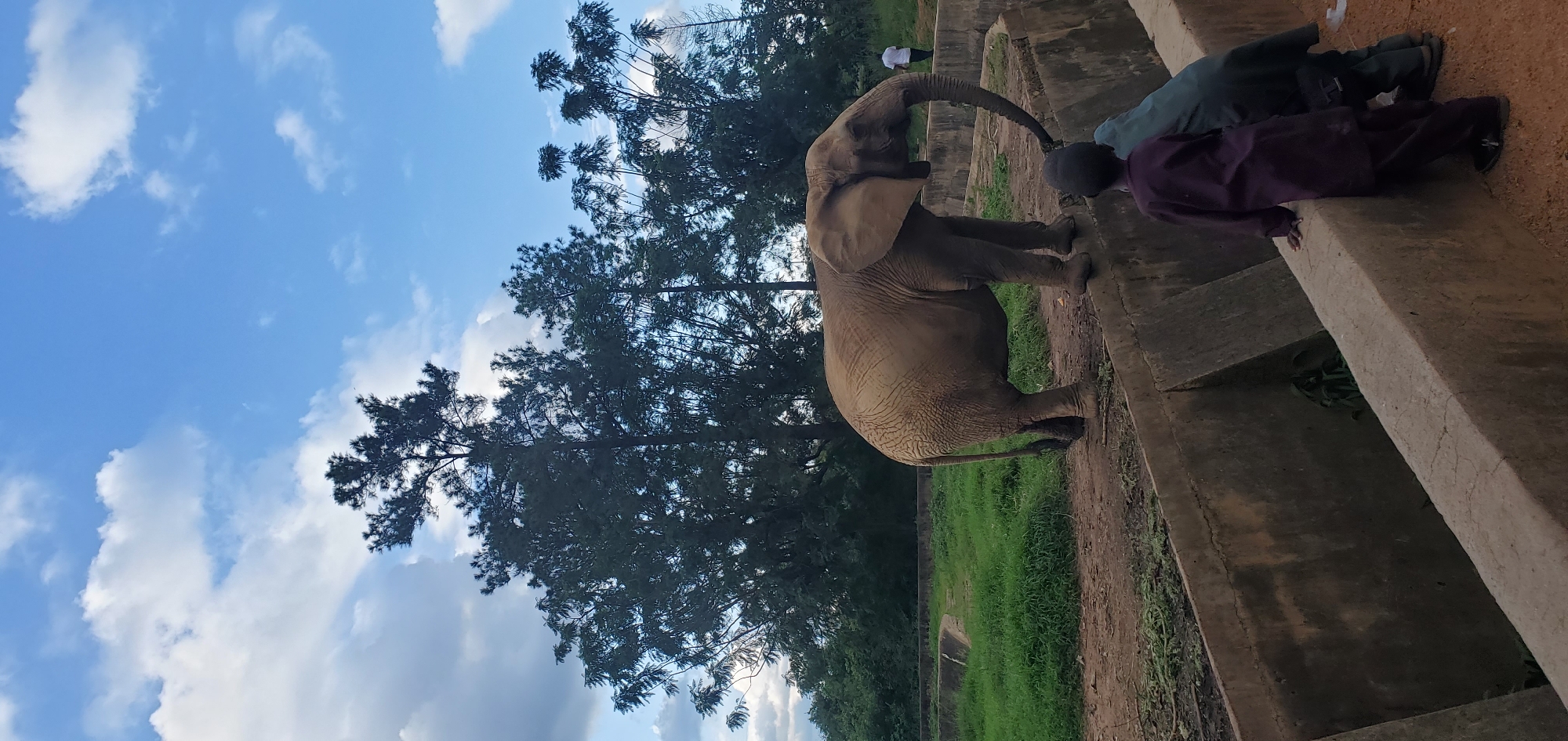 Afternoon at a Jos wildlife park, various animals on view