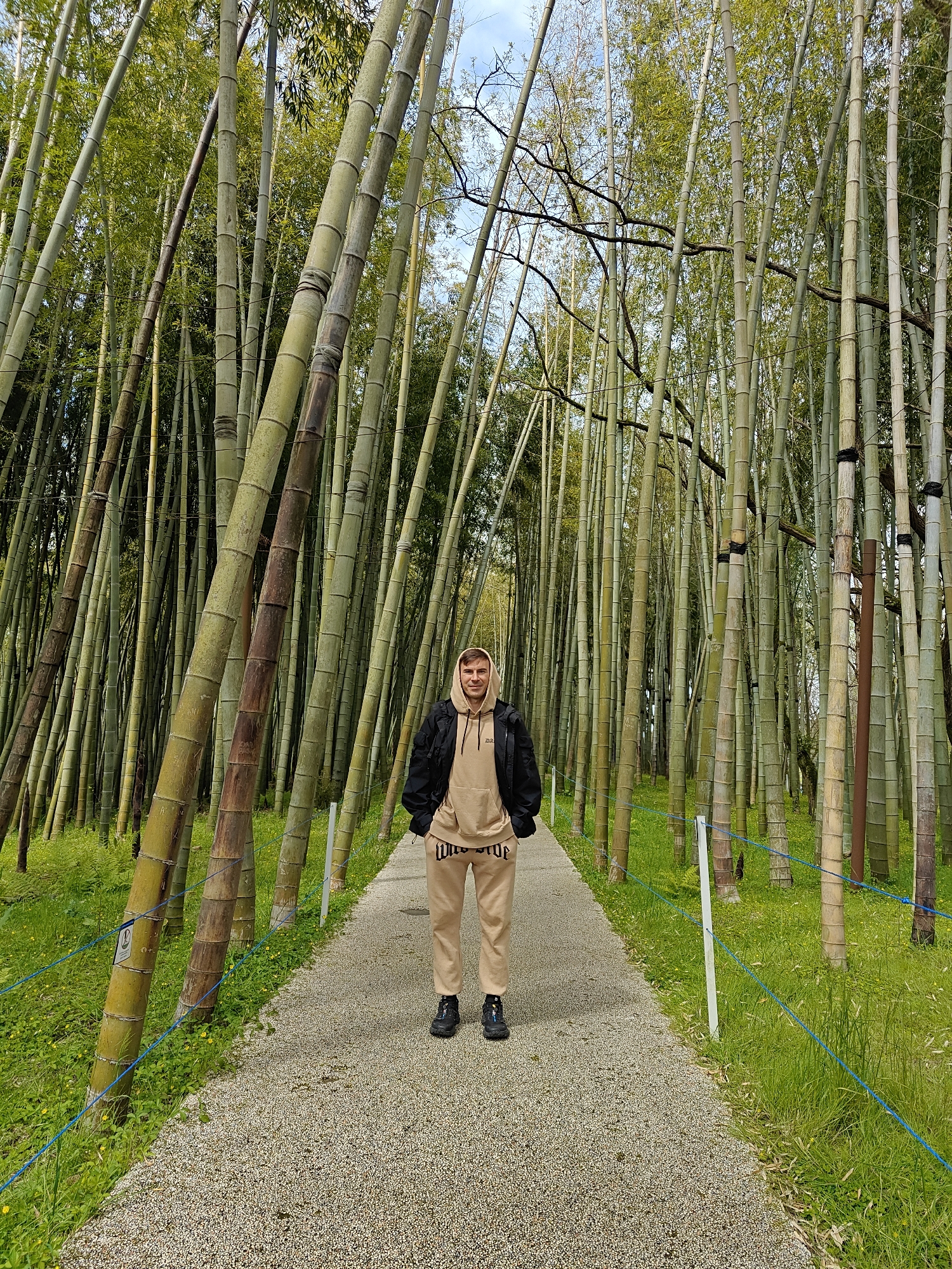 Visitor documents peaceful morning walk through Shekvetili botanical gardens