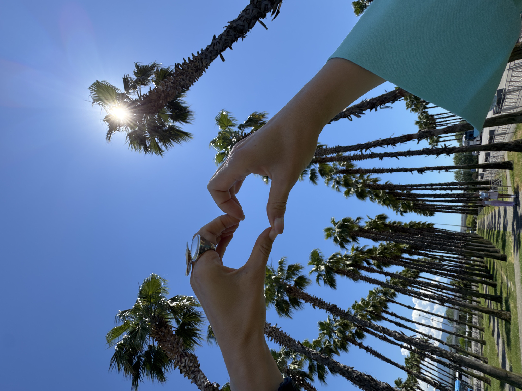 Sunny selfies among palm trees in Sirius, Russia
