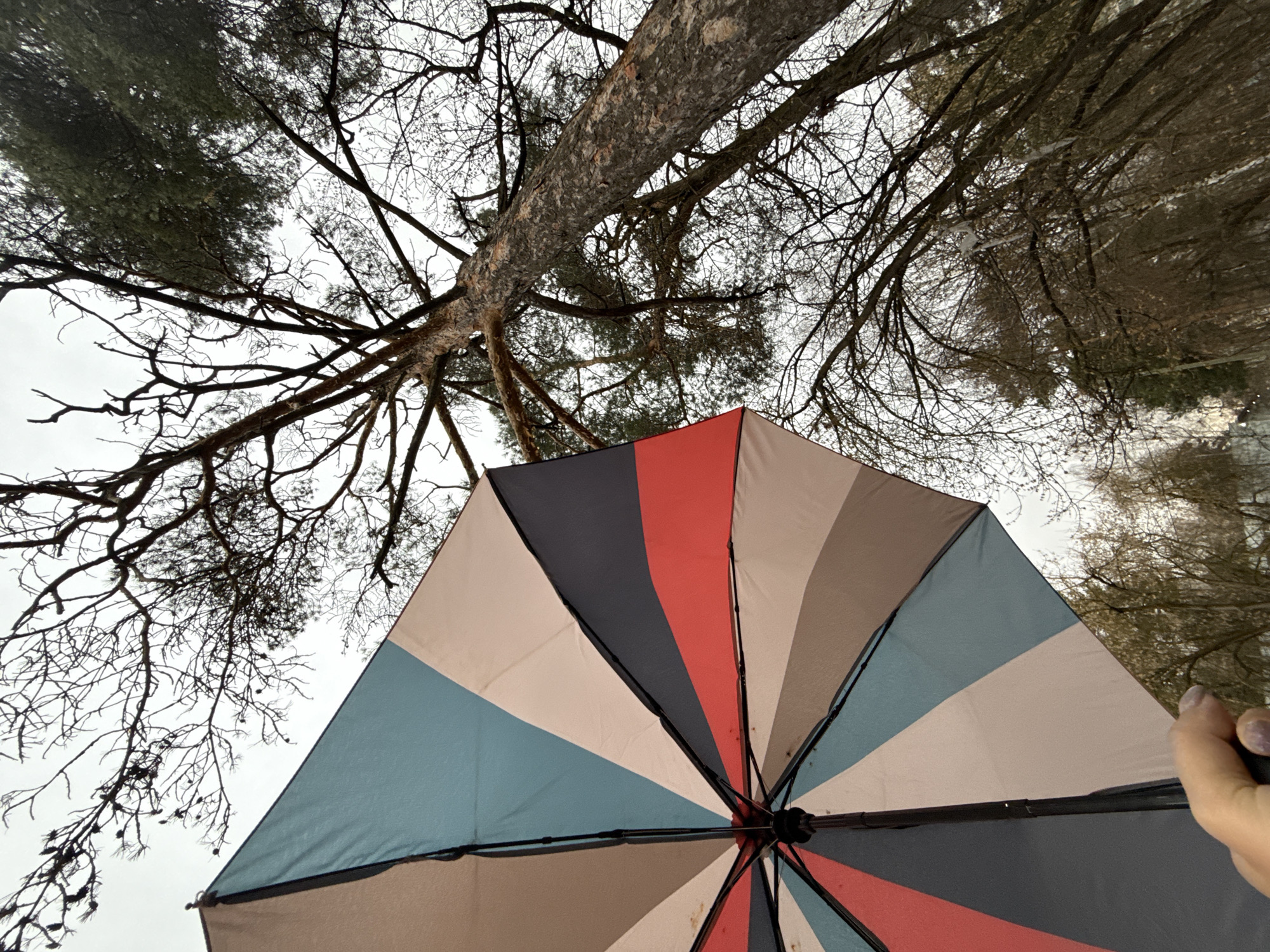 Rainy afternoon umbrella use documented in Dmitrov, Russia