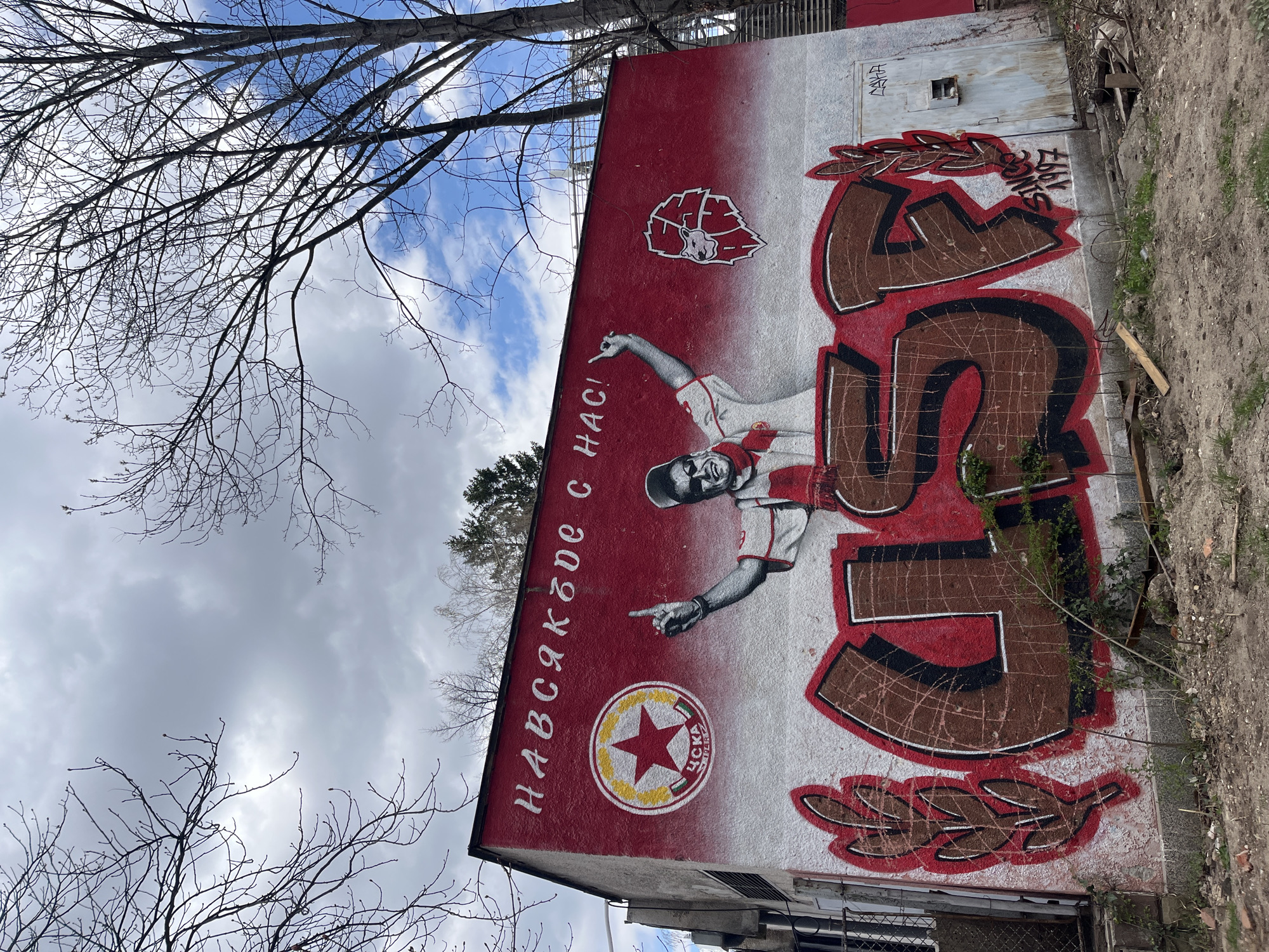 Sofia streetscape captured: murals, construction, architecture documented morning hours