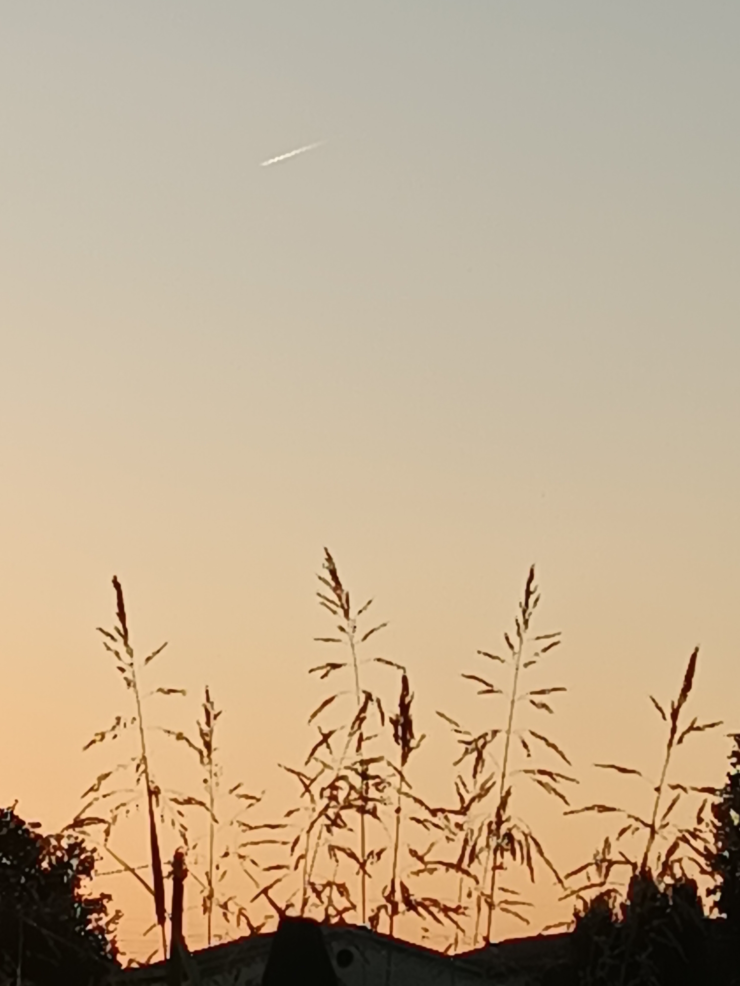 Summer sunset in Viadana, with food and street scenes mixed in