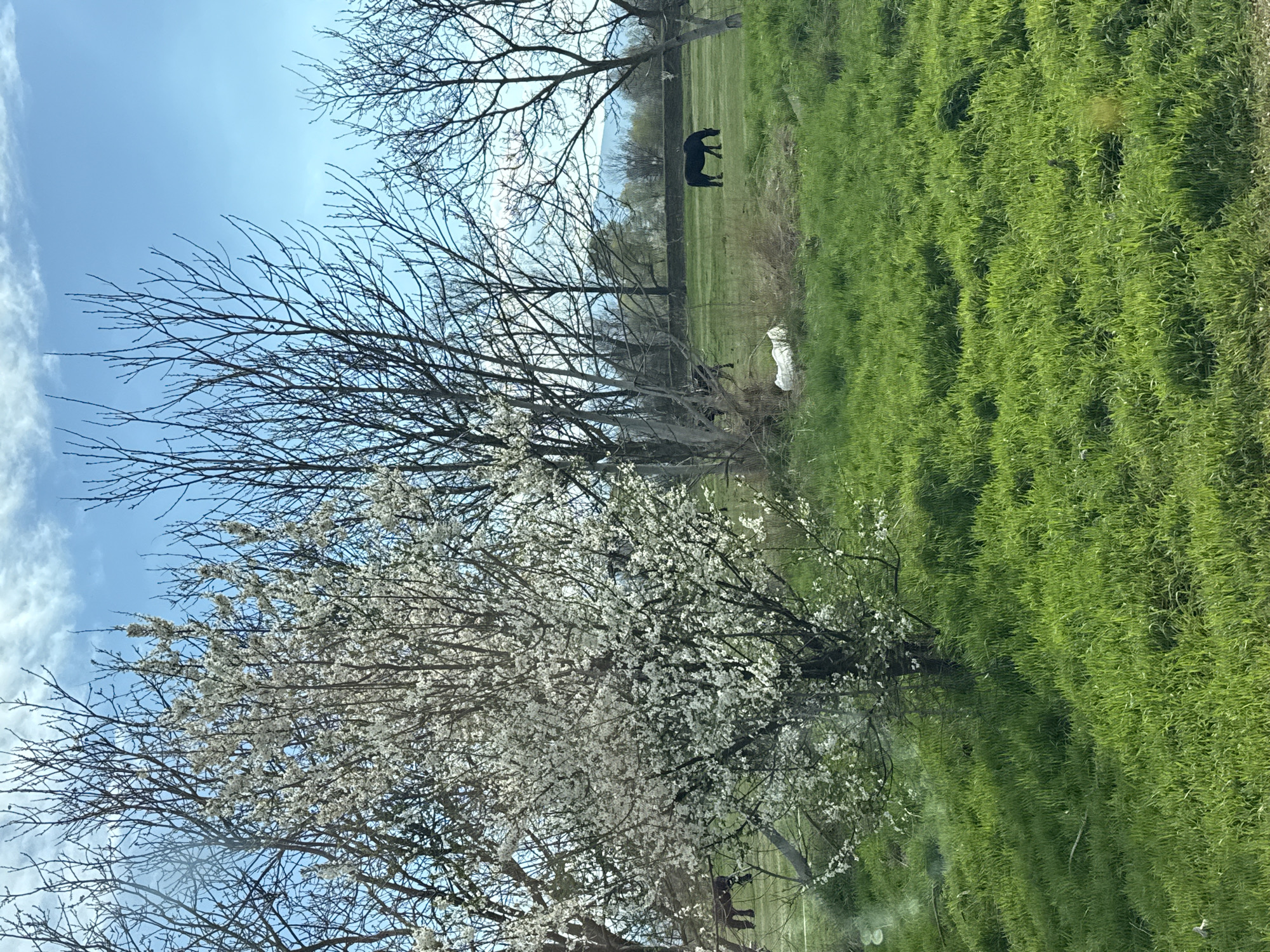 Spring afternoon snapshots captured across Sofia neighborhoods