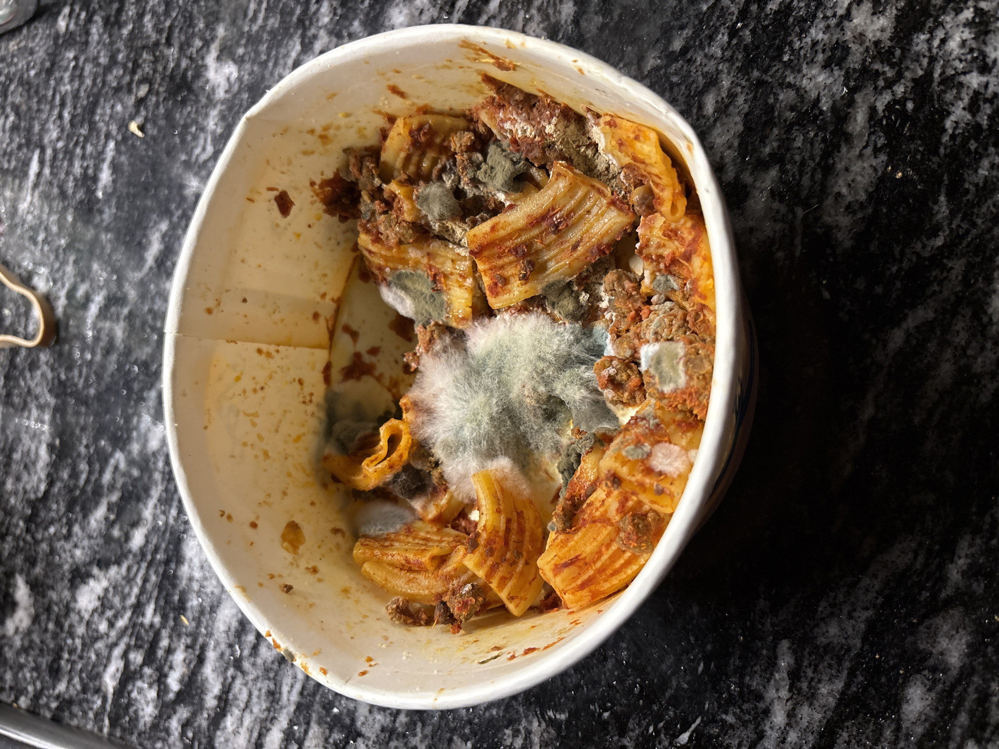 Moldy pasta discovered in food container in Buenos Aires