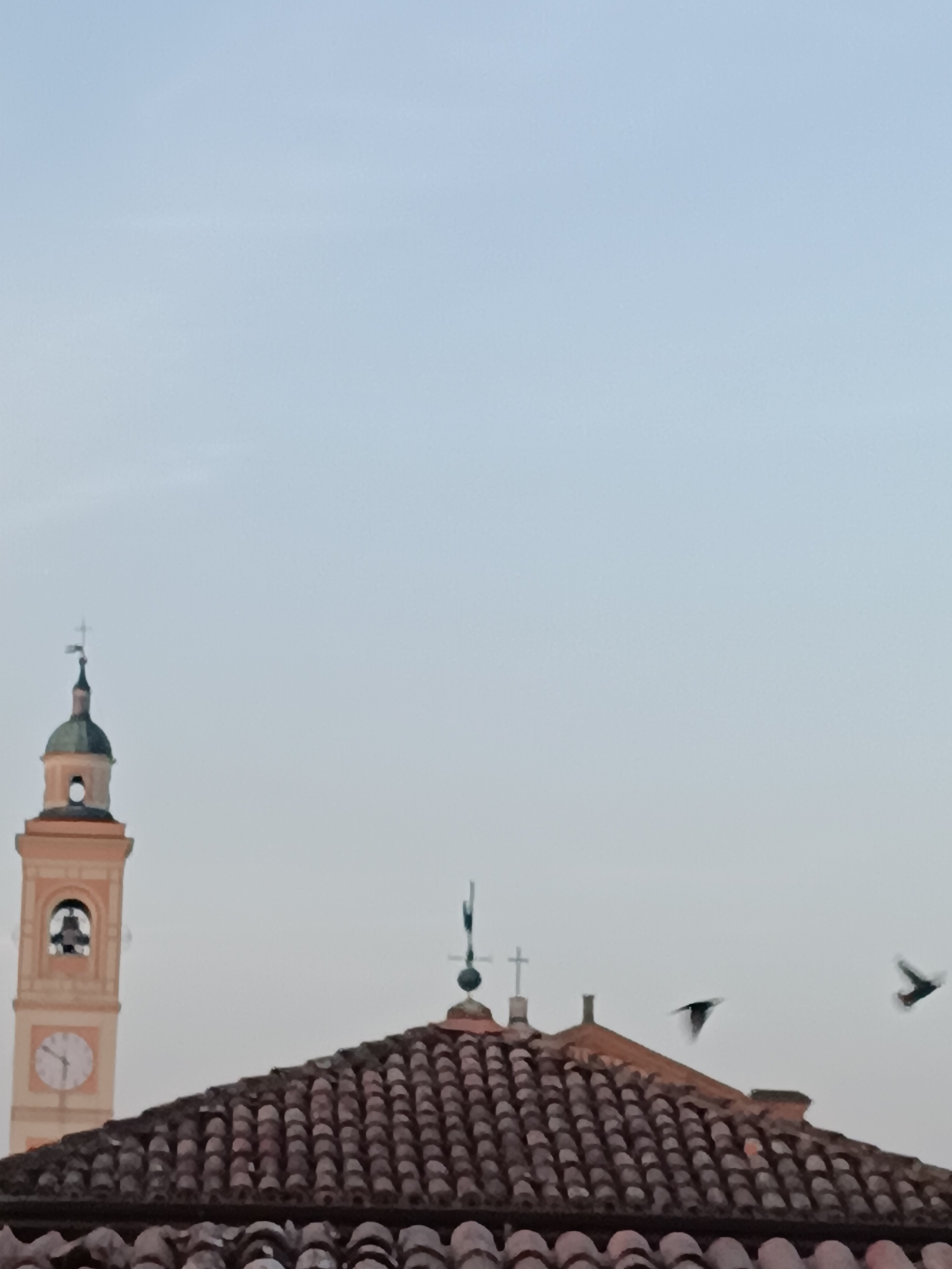 Witness captures cats and dawn scenes across Viadana, Italy