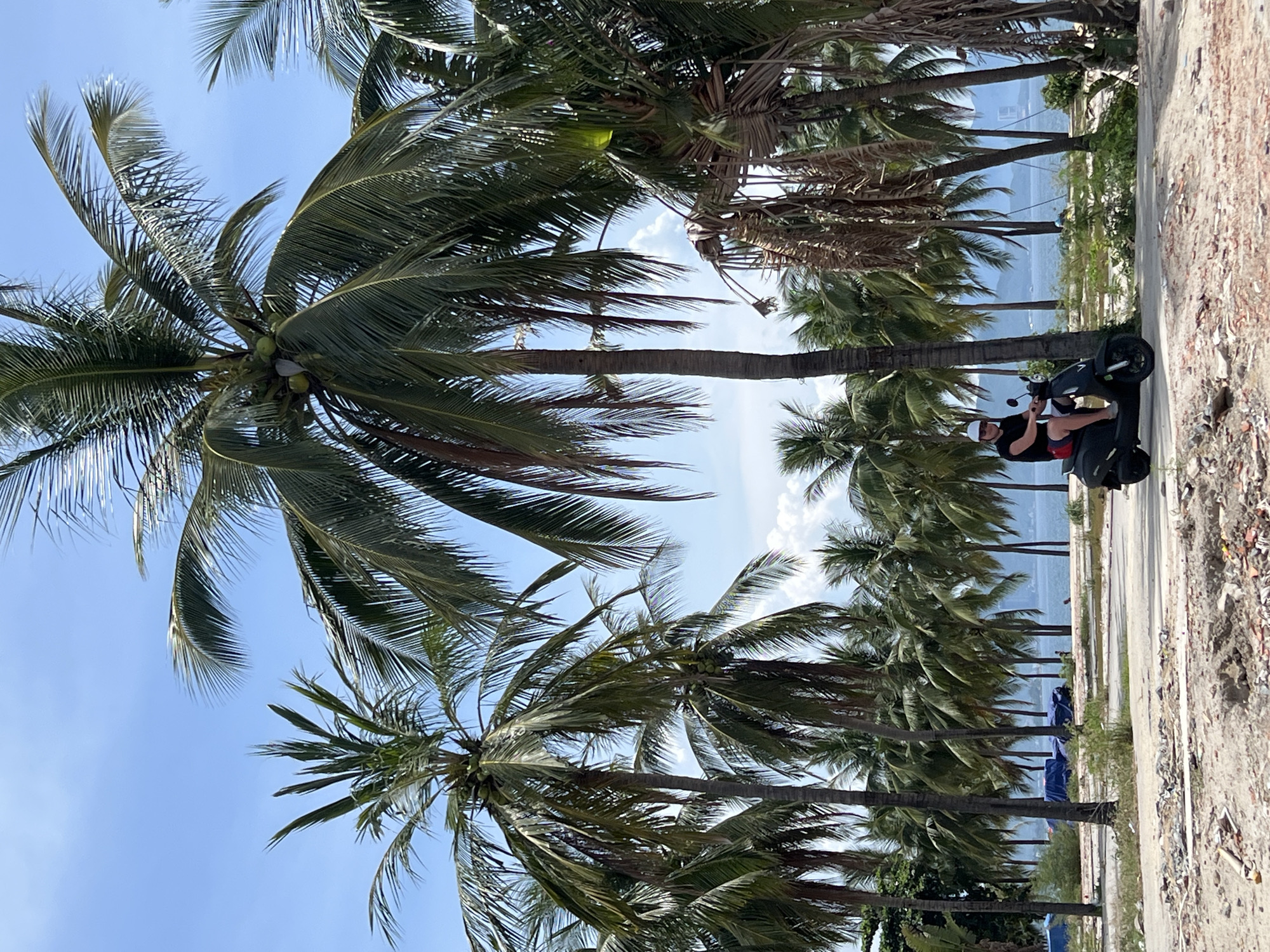 Early morning beach life documented in Nha Trang Ward