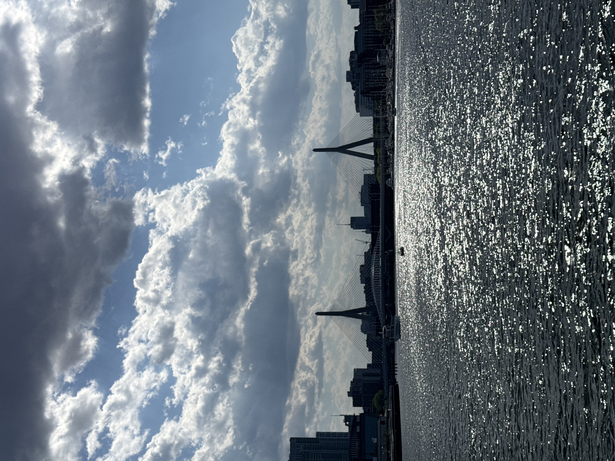 Evening waterfront activity captured along Boston's Charles River